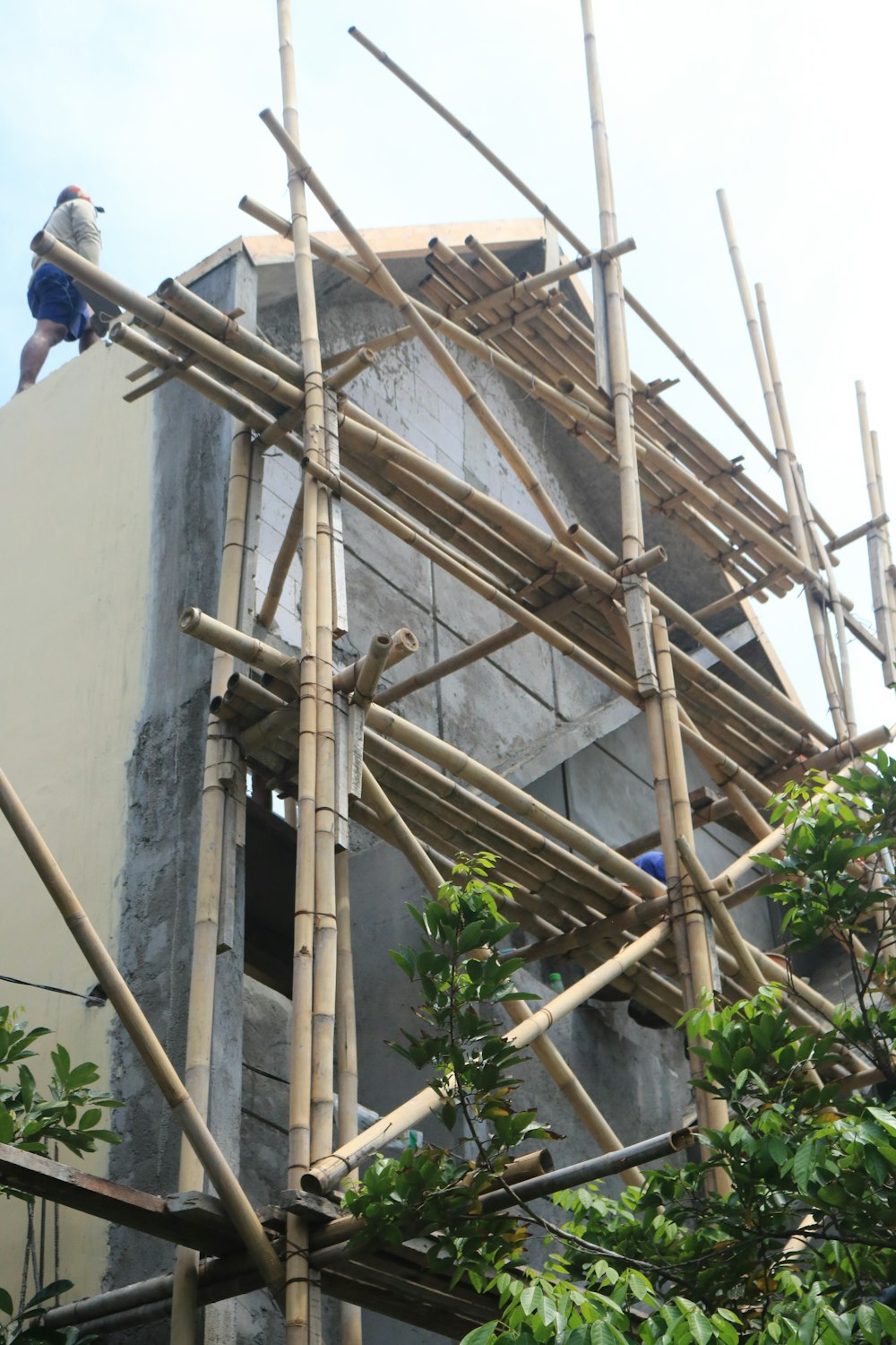 a person on a ladder