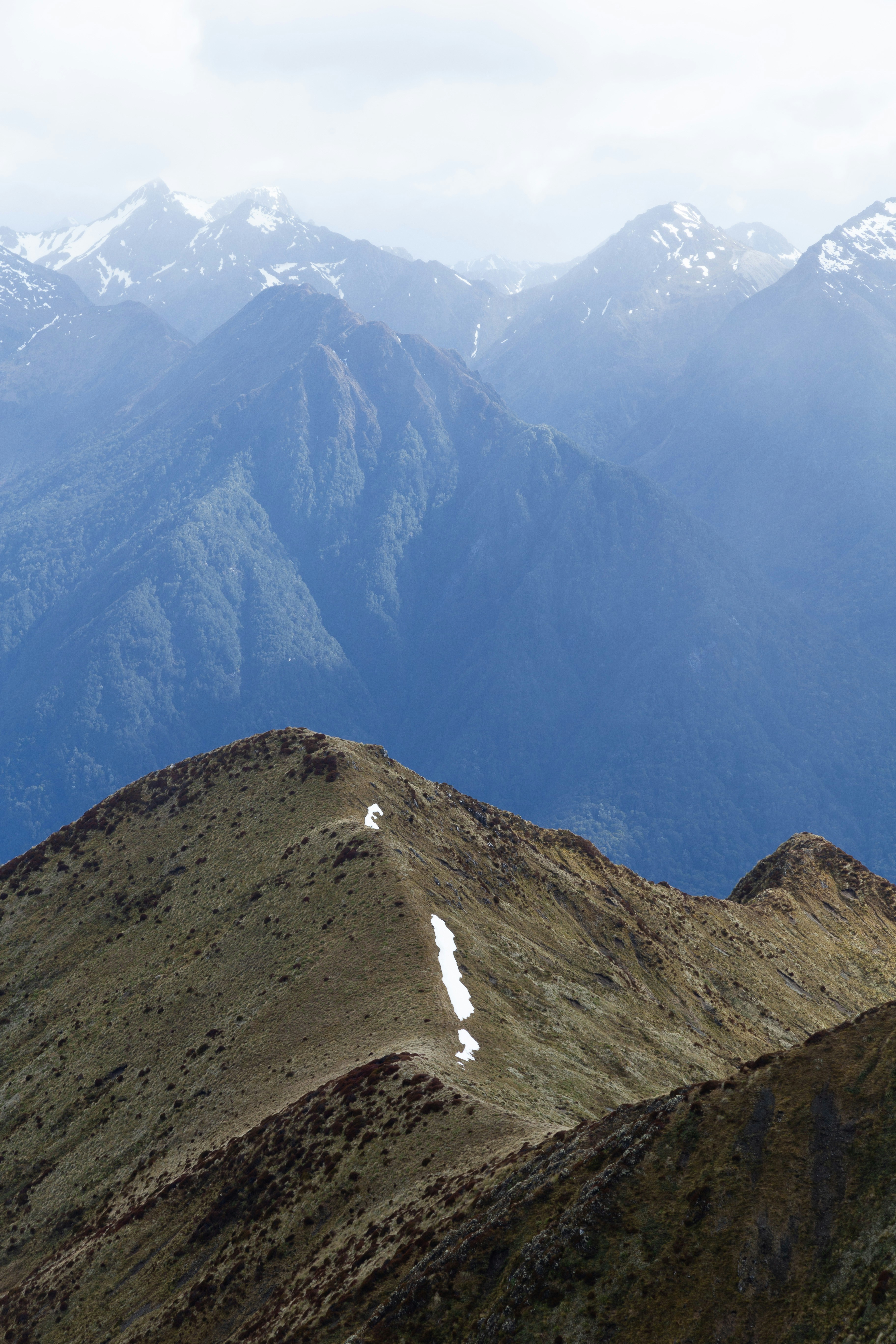 Photo by davecampbe11