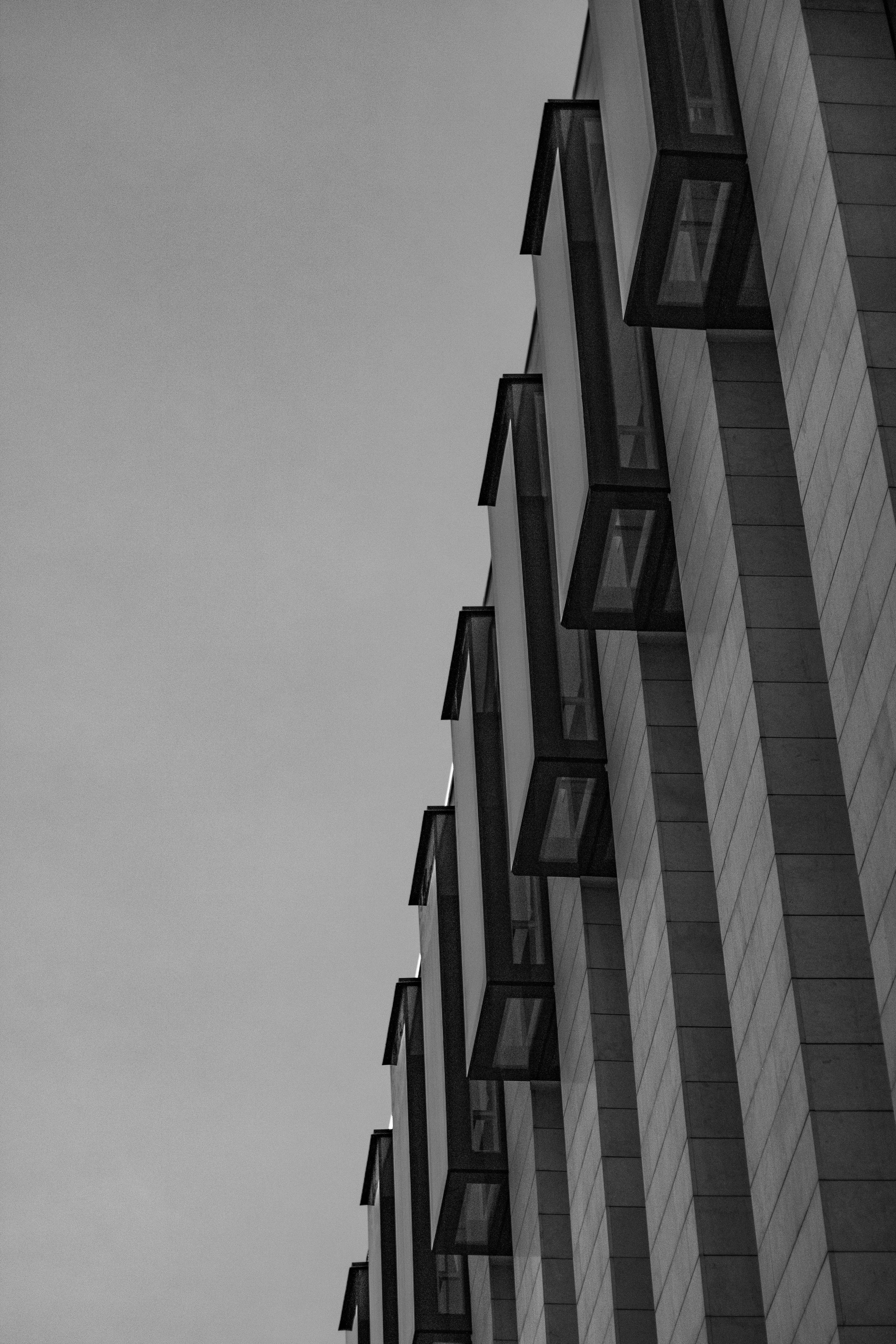 Photo by carpediem_ann