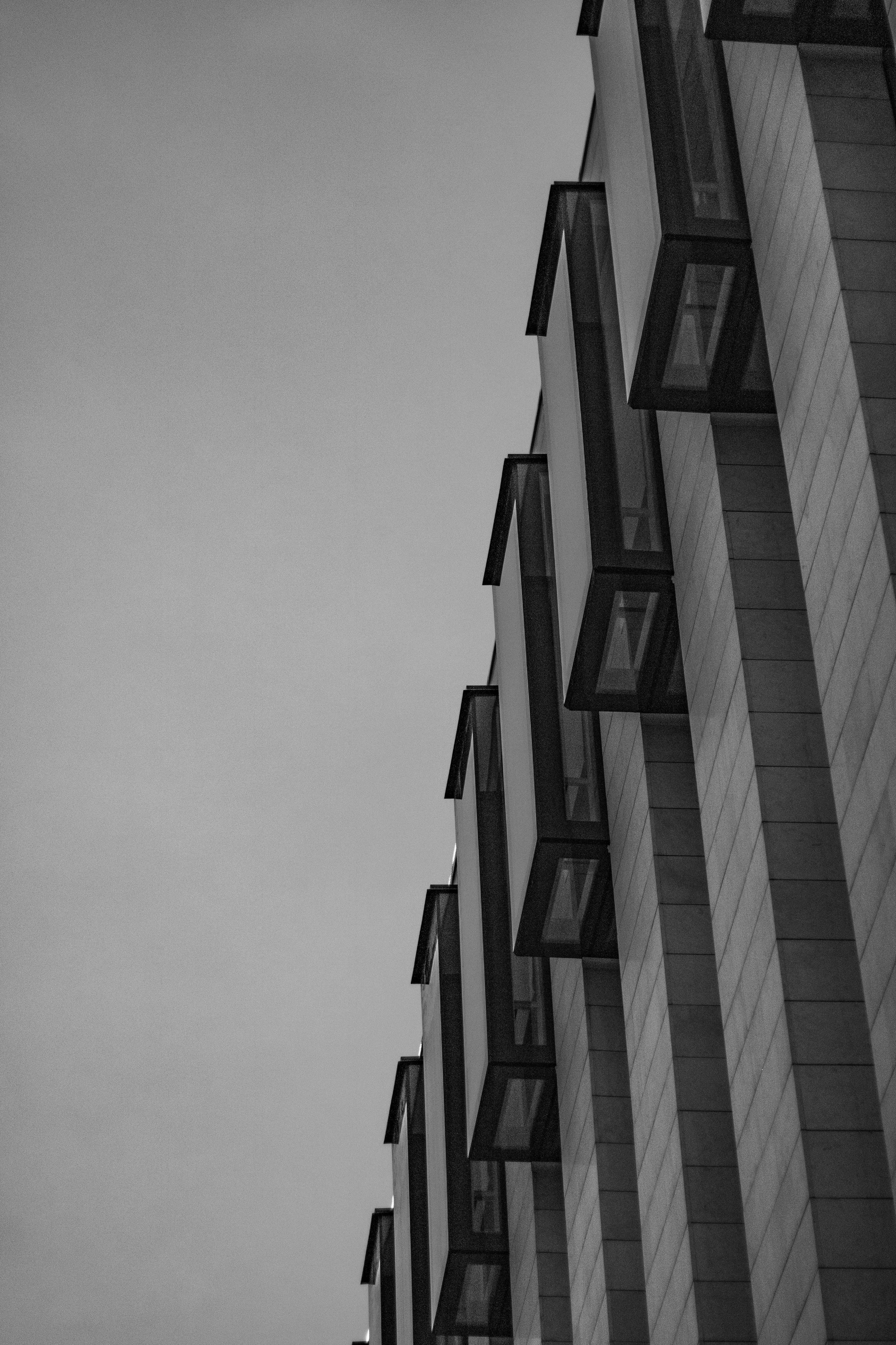 Photo by carpediem_ann