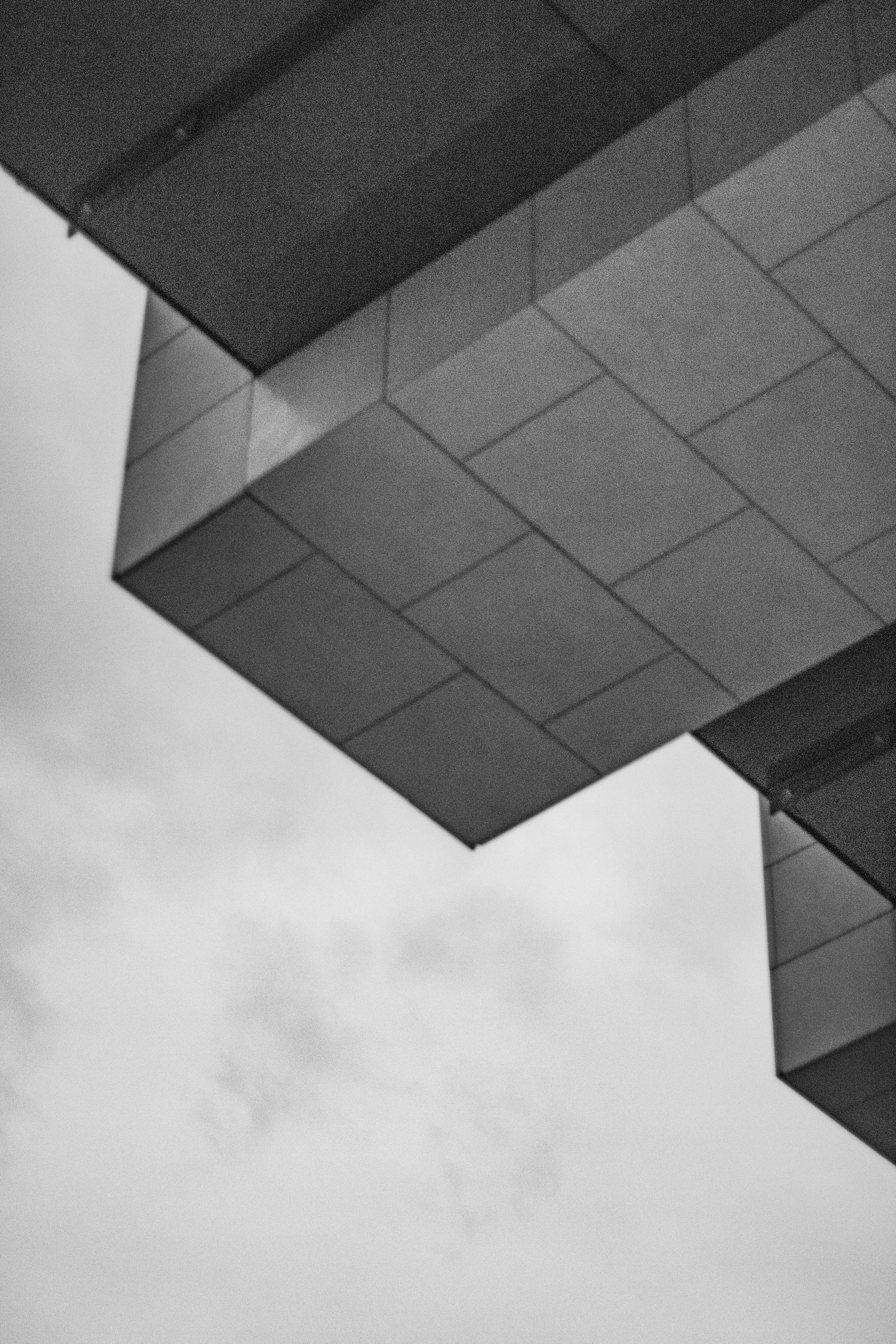 Photo by carpediem_ann