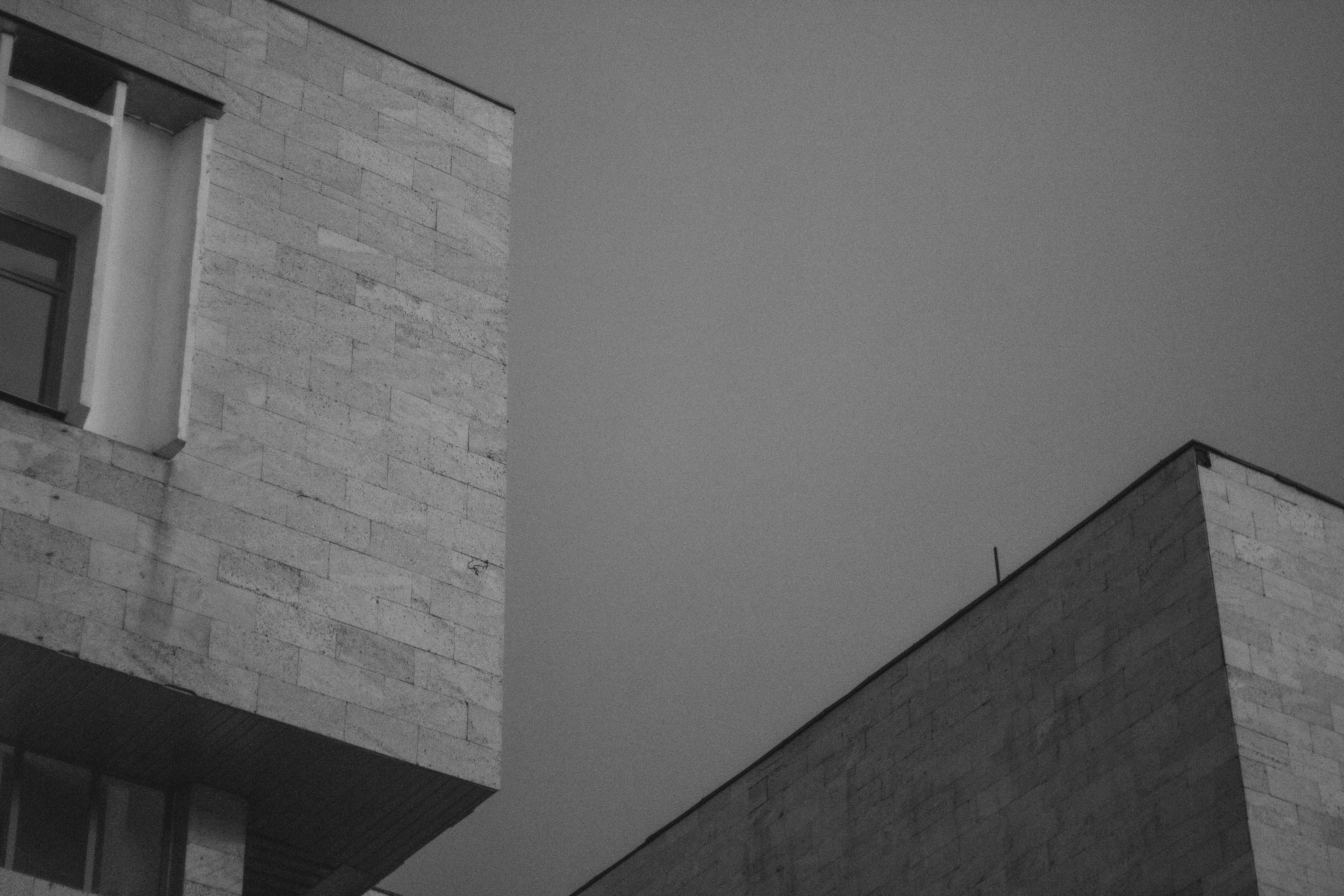 Photo by carpediem_ann