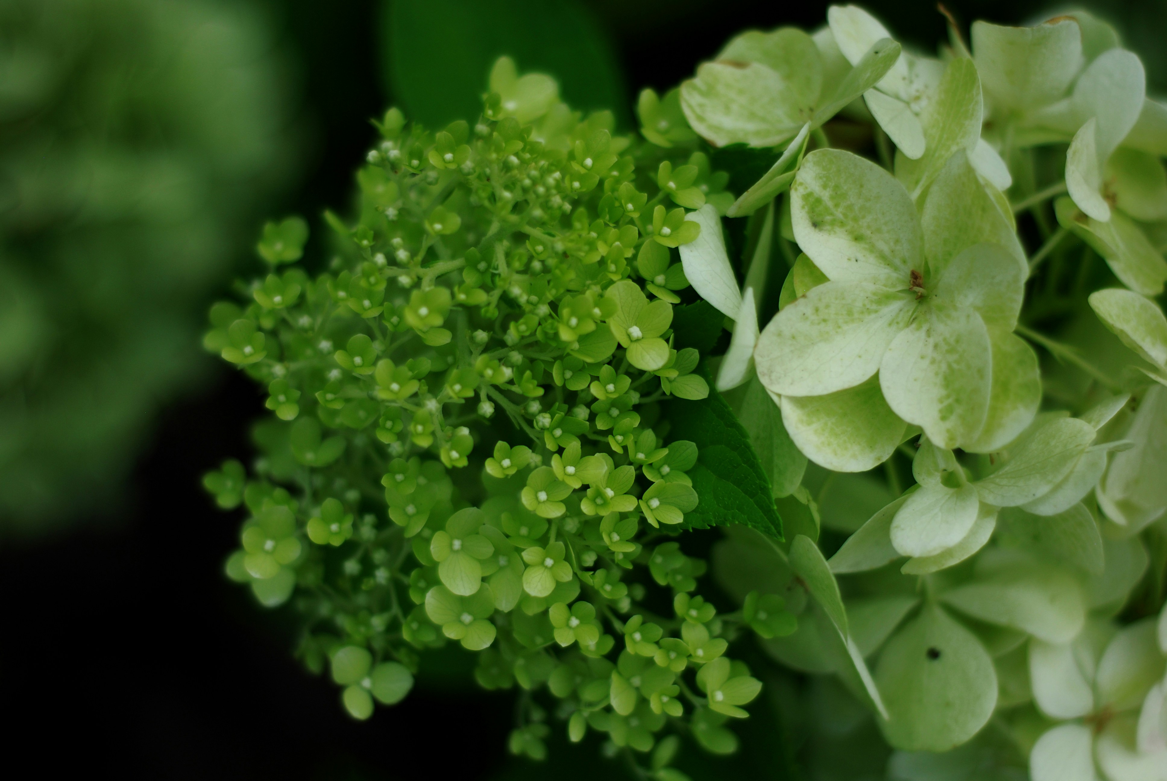 Photo by kovalskihelga