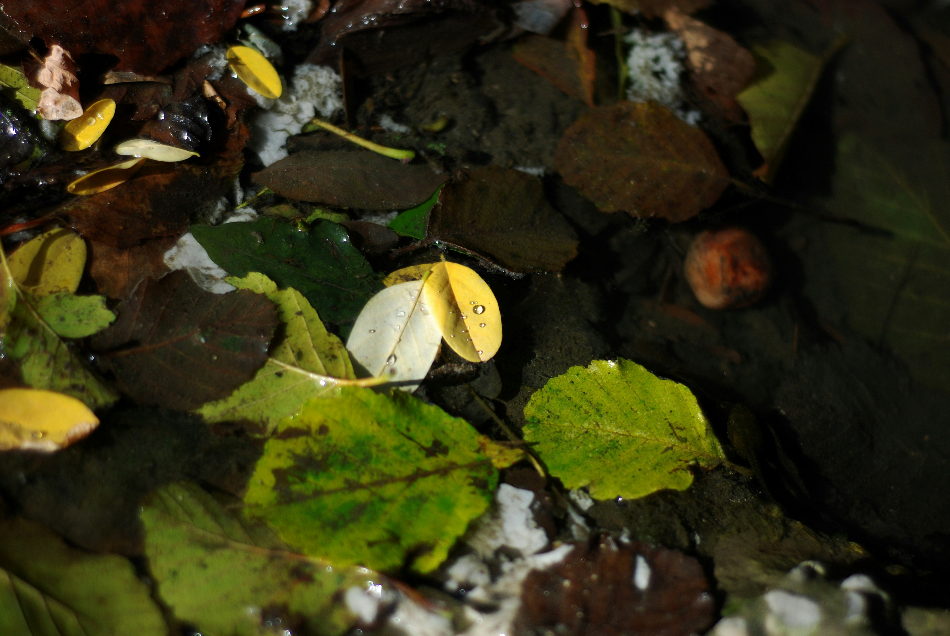 Photo by kovalskihelga