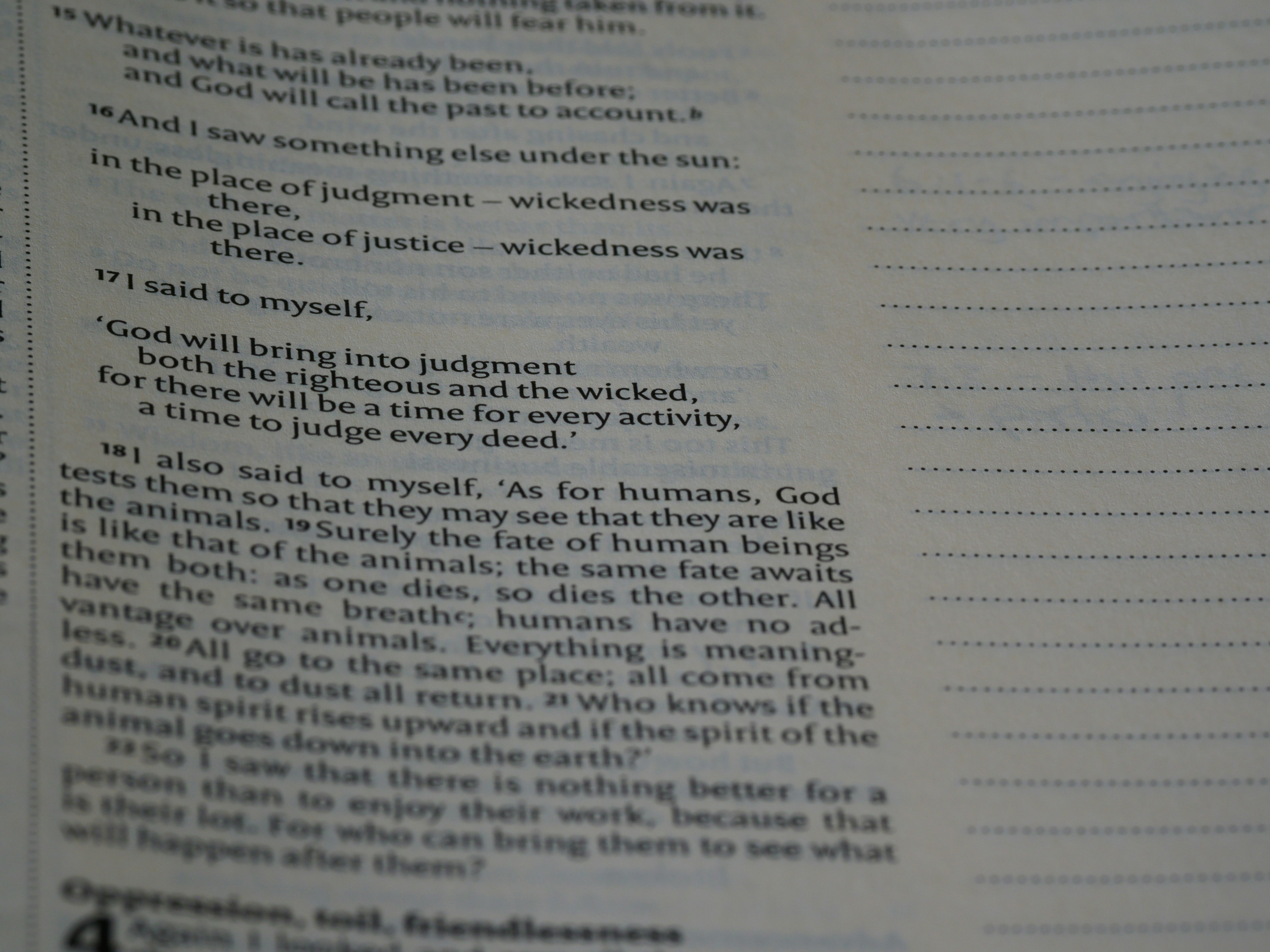 Photo by brett_jordan