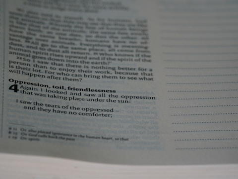 A page from a book featuring text in a serif font. The text includes a bold heading 'Oppression, toil, friendlessness,' followed by a verse numbered '4.' The words discuss themes of oppression and lack of comfort for the oppressed. The page has a serif, formal layout and empty lines on the right margin, possibly for annotations.
