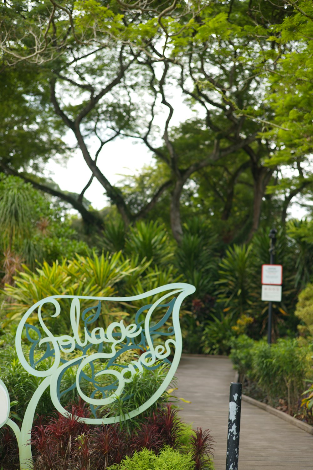 a path with trees and plants on the side