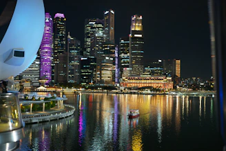 a city skyline at night