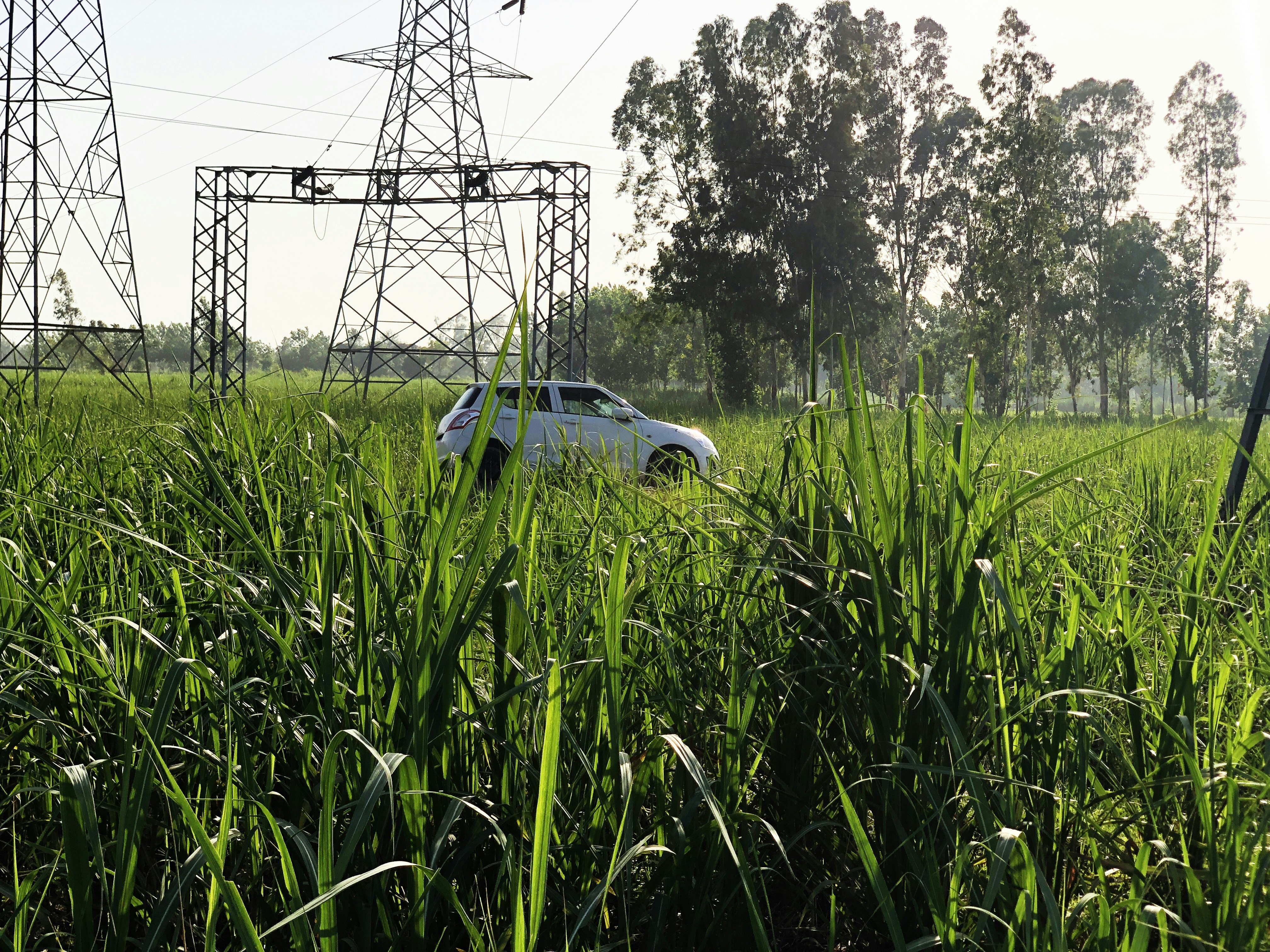 La electrificación: un reto urgente para el futuro energético de España