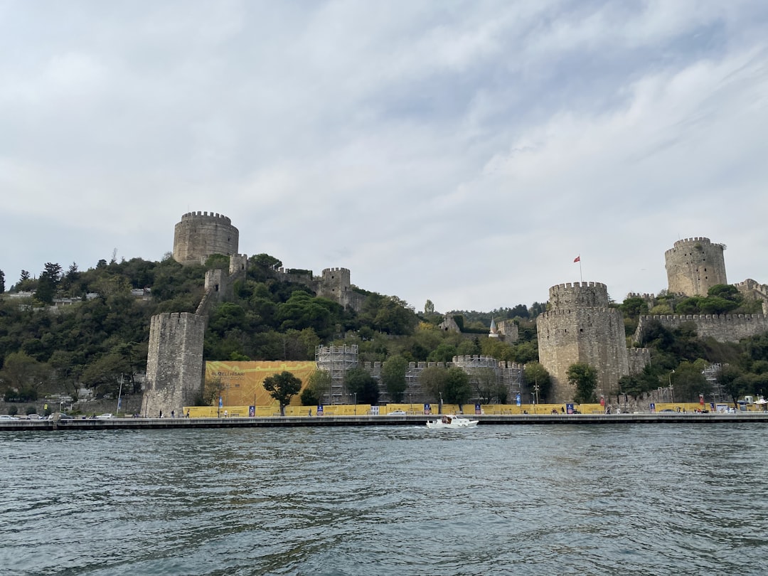 a castle on a hill,