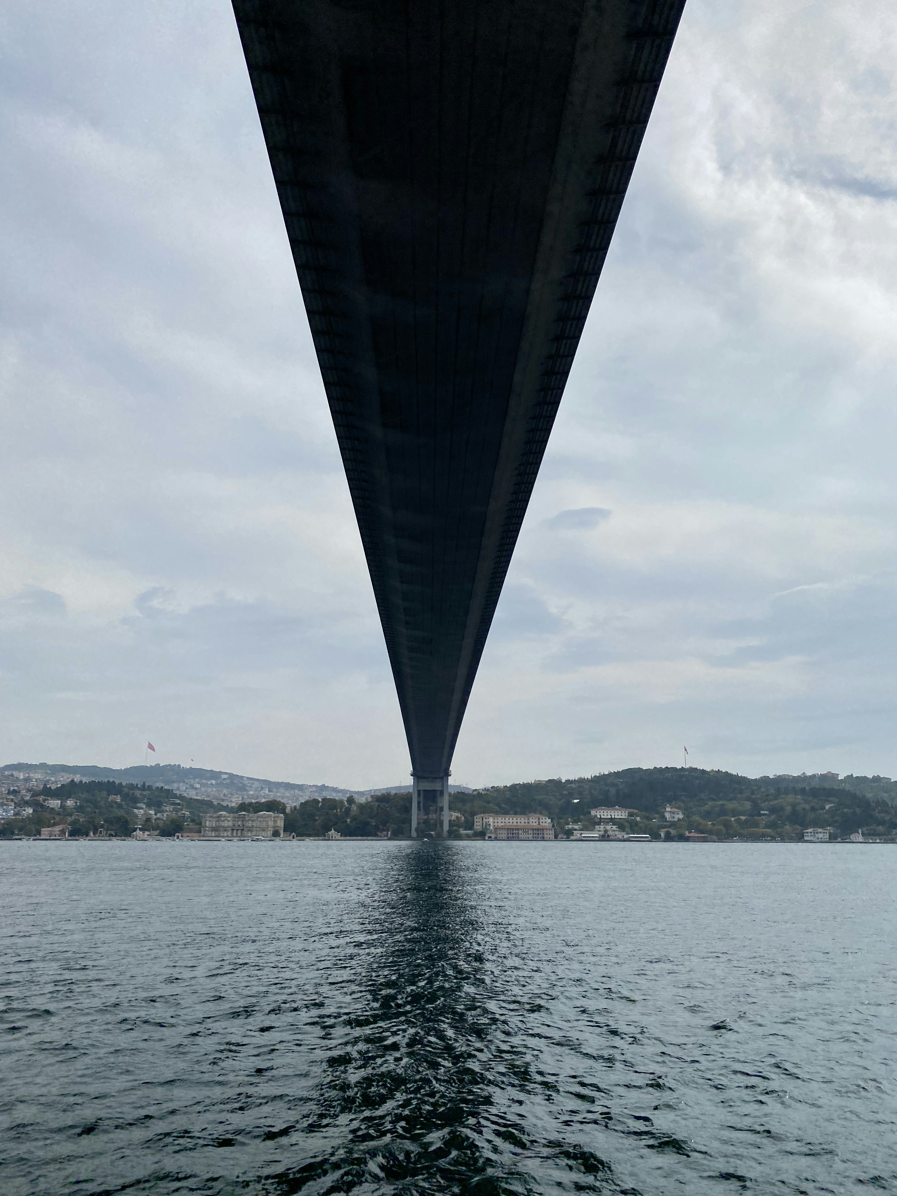 una grande struttura nera sopra l'acqua