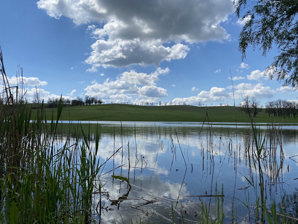 a body of water with grass and trees around it