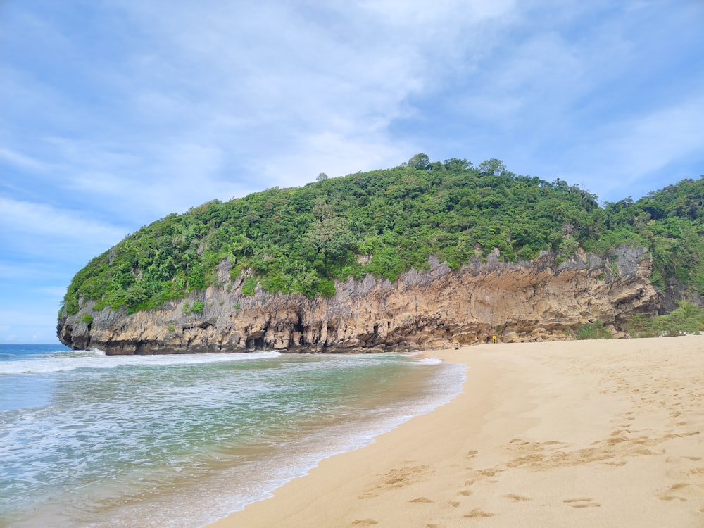a beach with a hill in the background