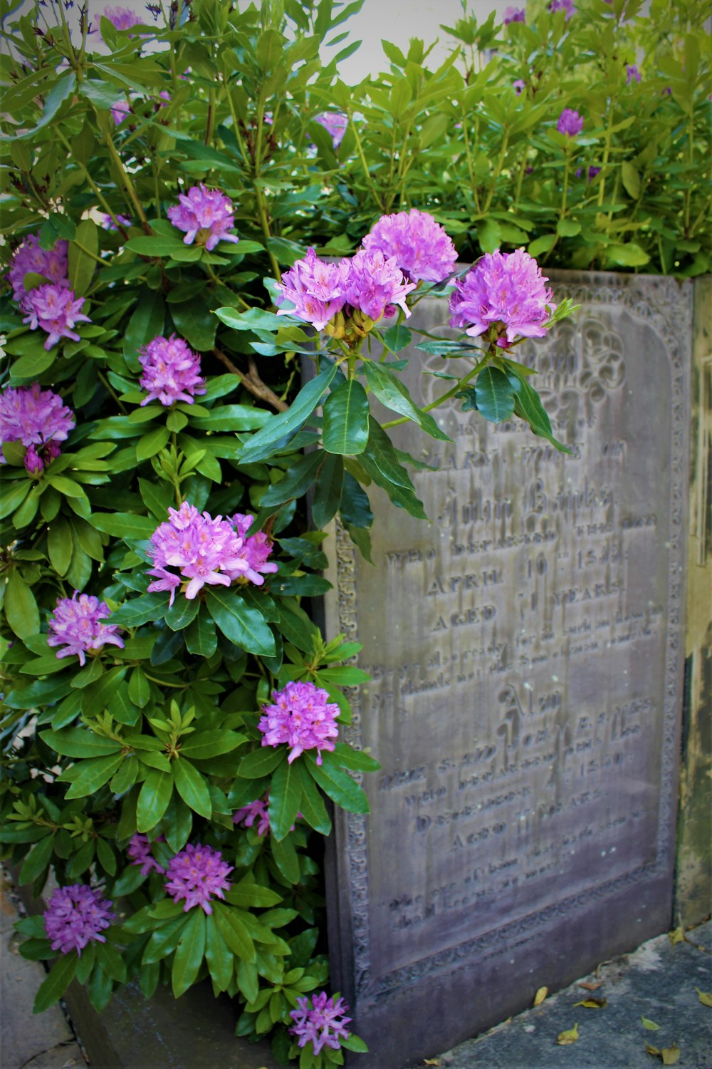 ein Grabstein mit Blumen darauf