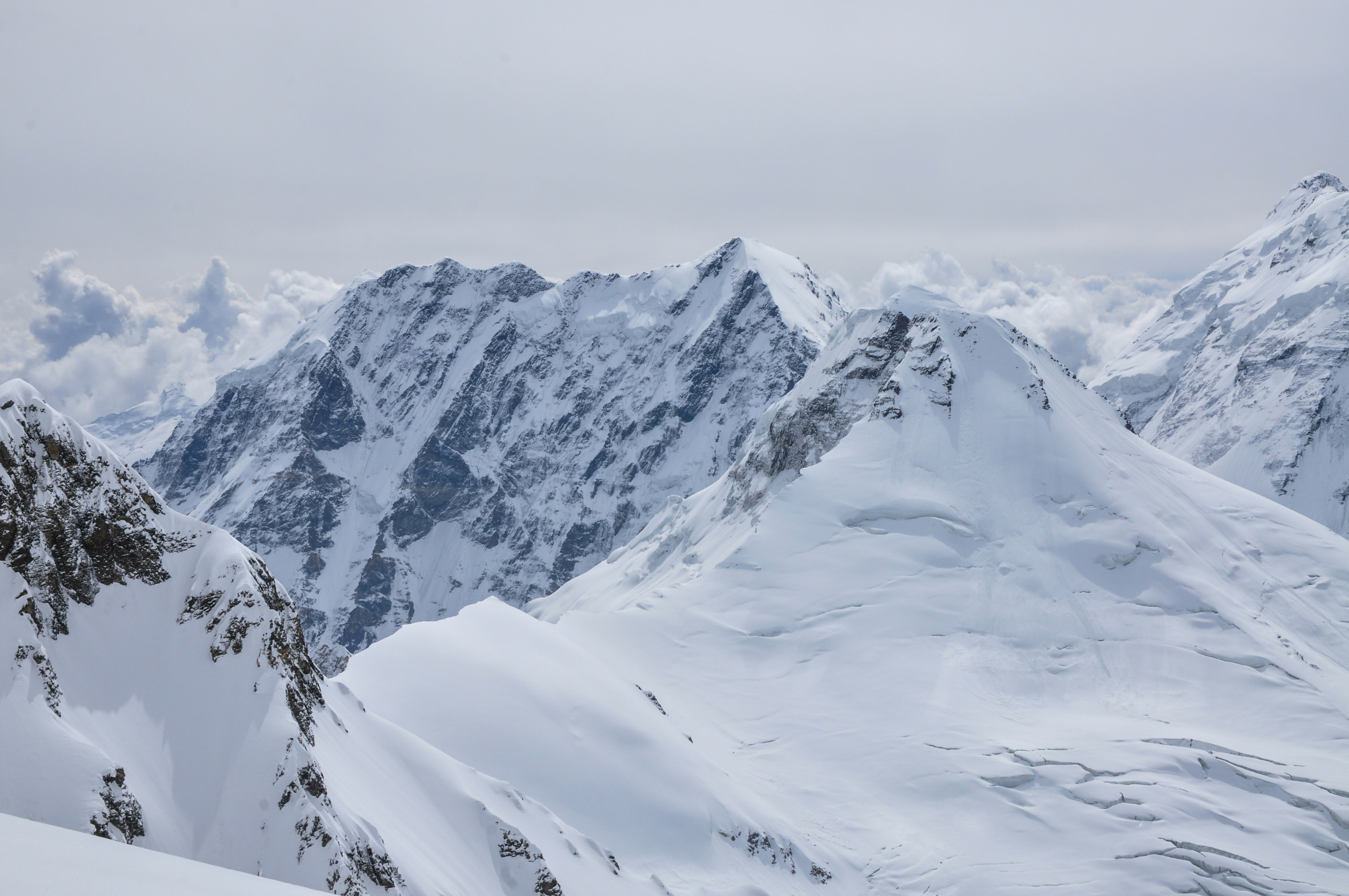 a snowy mountain with trees