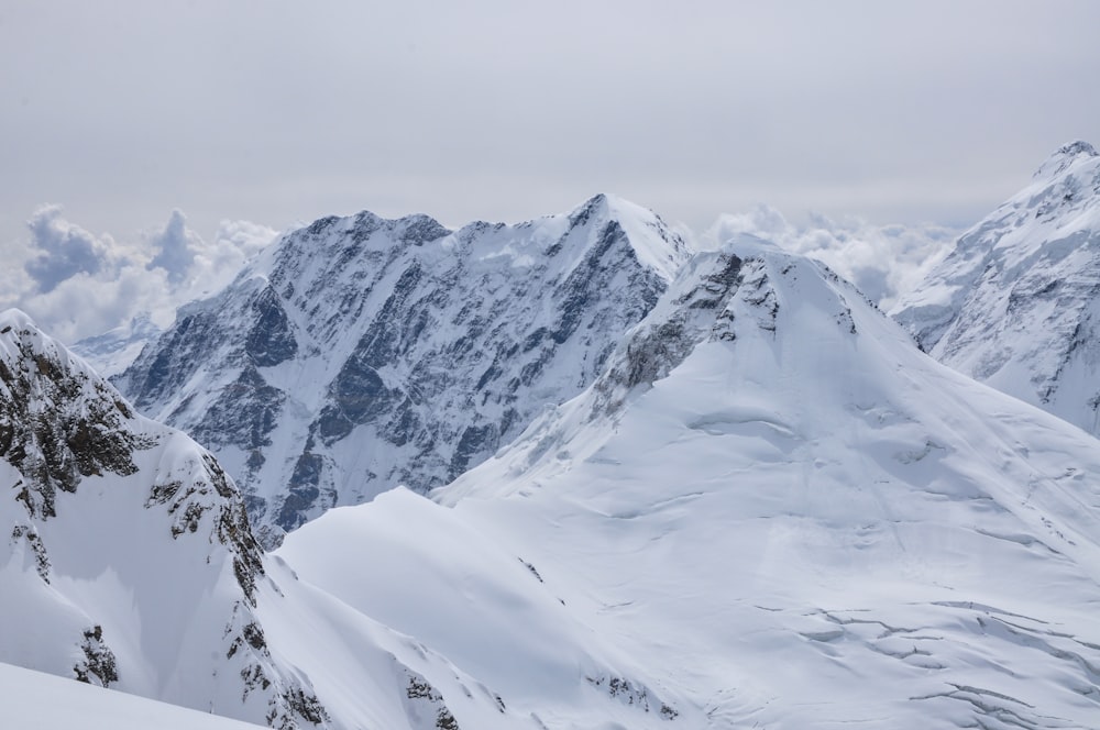 a snowy mountain with trees