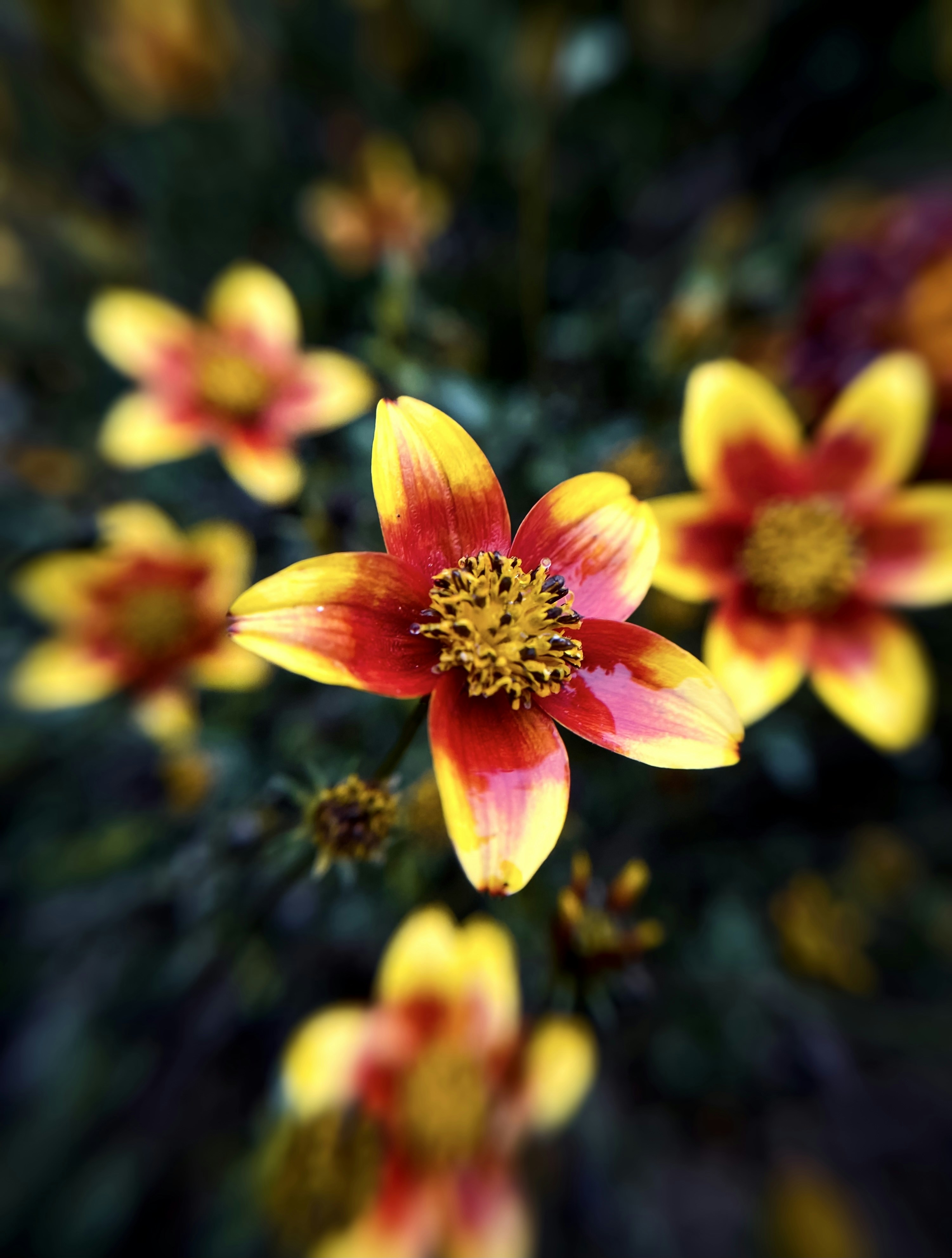 Photo by eugene_golovesov