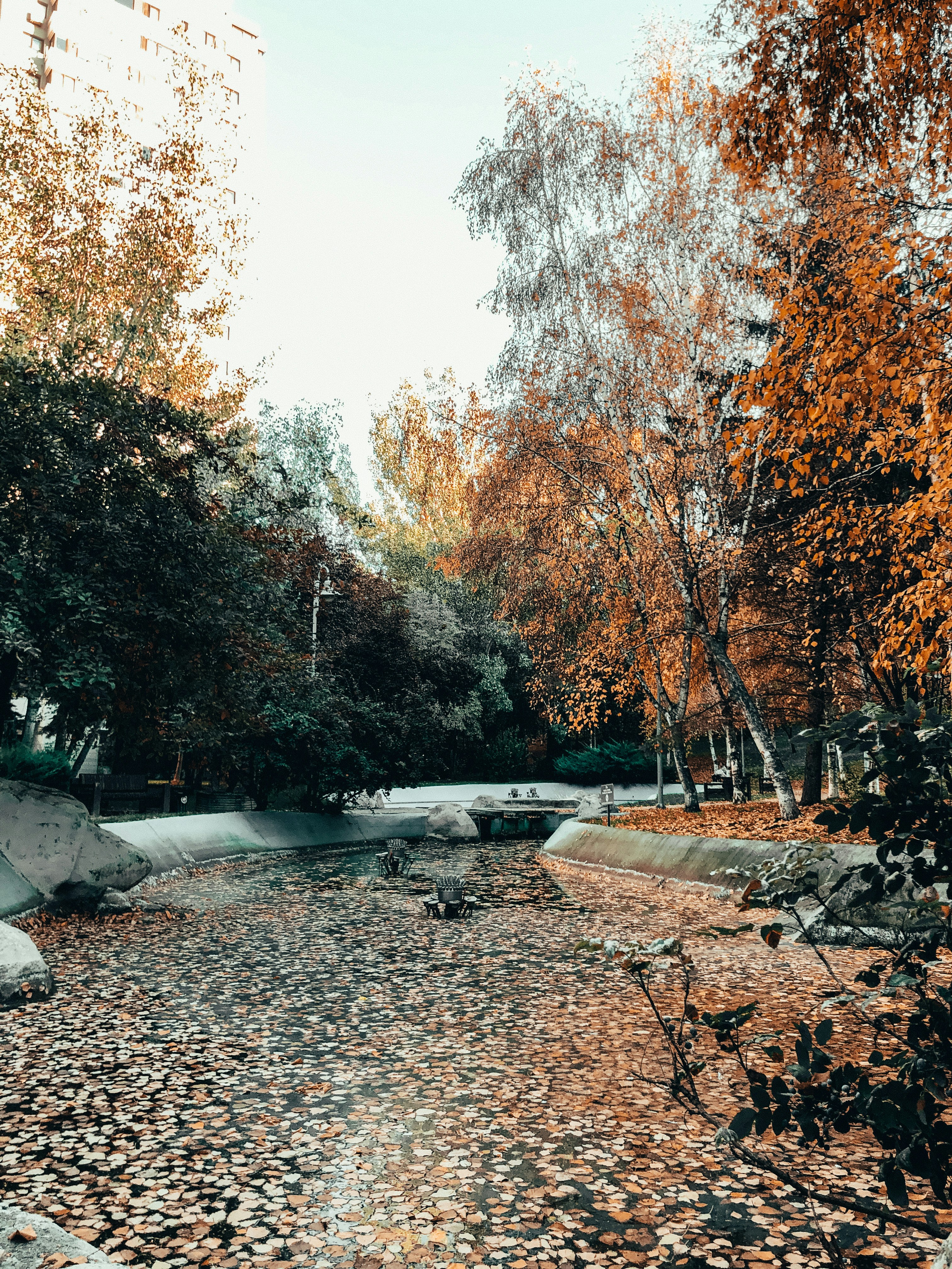 Photo by omeralkacar