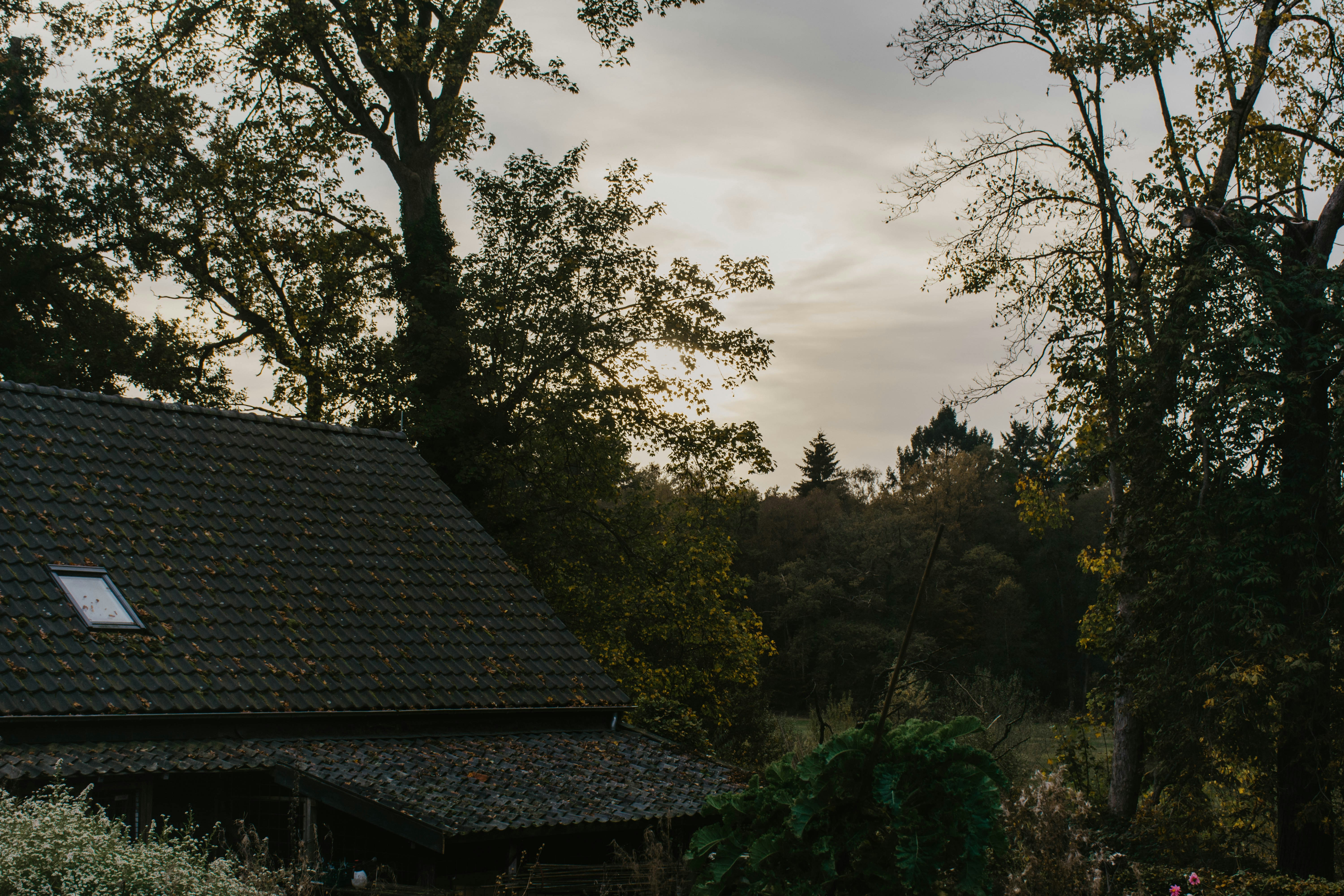 Photo by frankschutte97