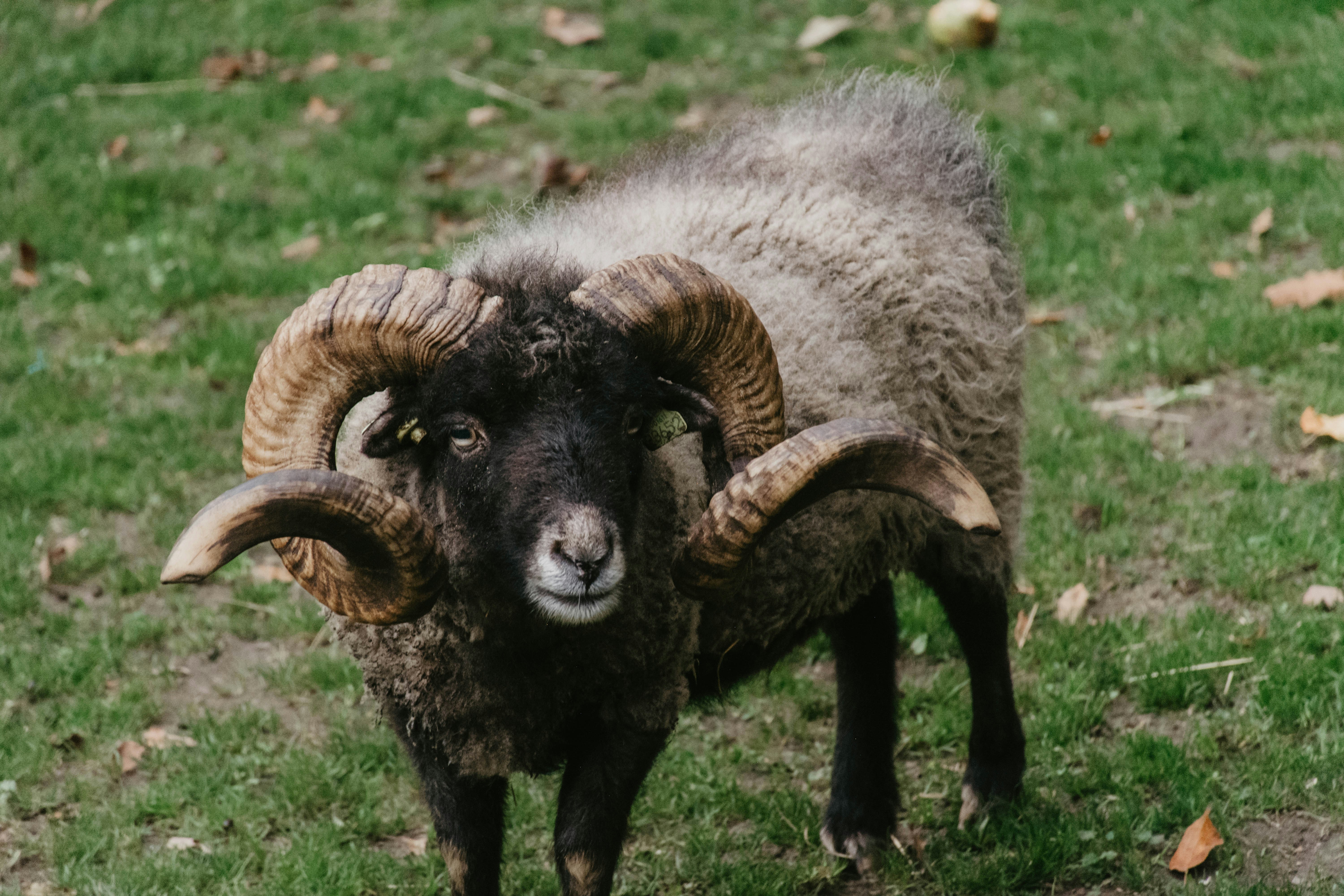 Photo by frankschutte97