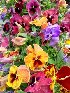 Flowerbed Design In Palm Coast Florida