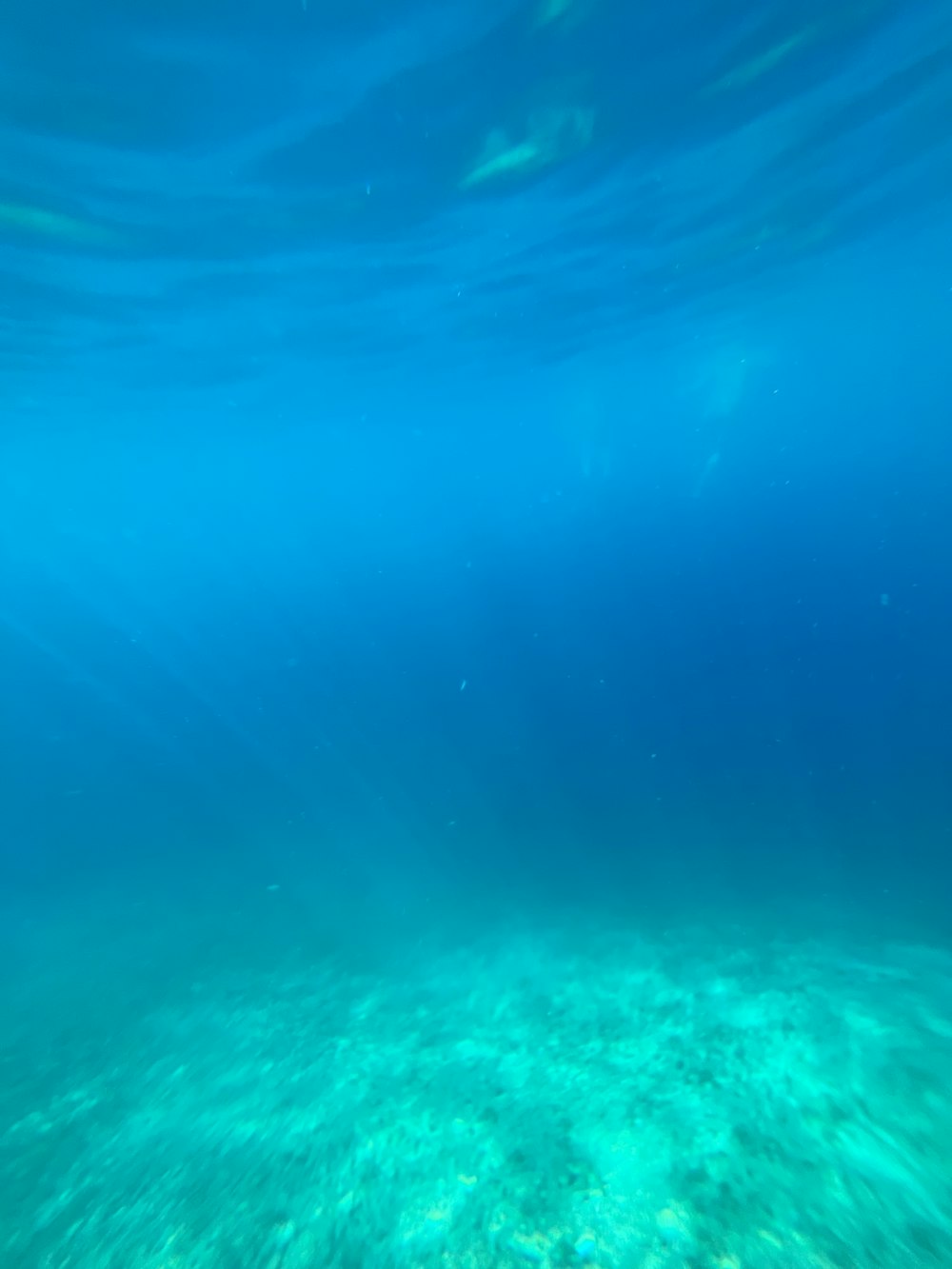 a blue ocean with clear water