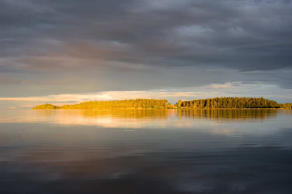 a body of water with trees in the back