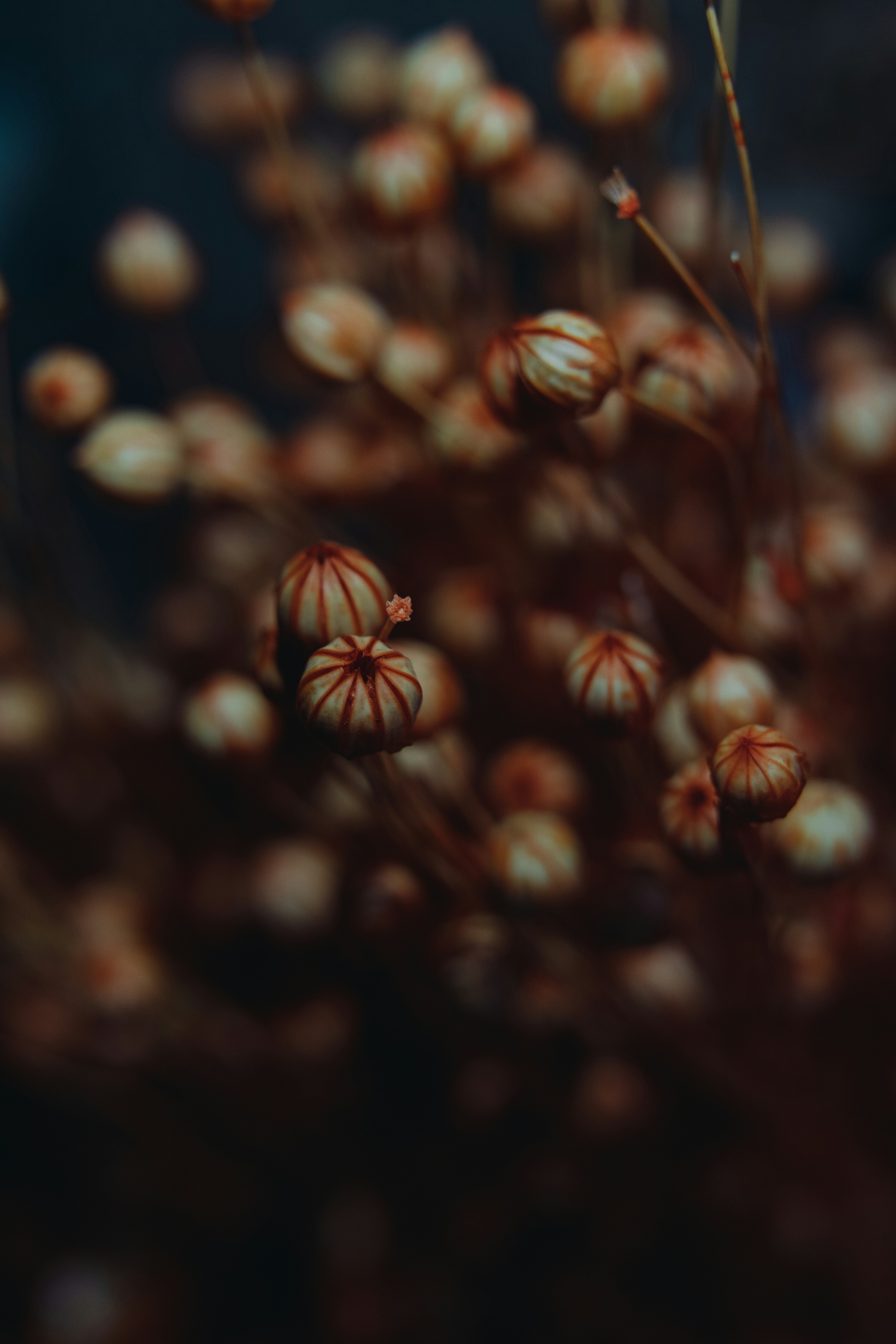 Photo by anamnesis33