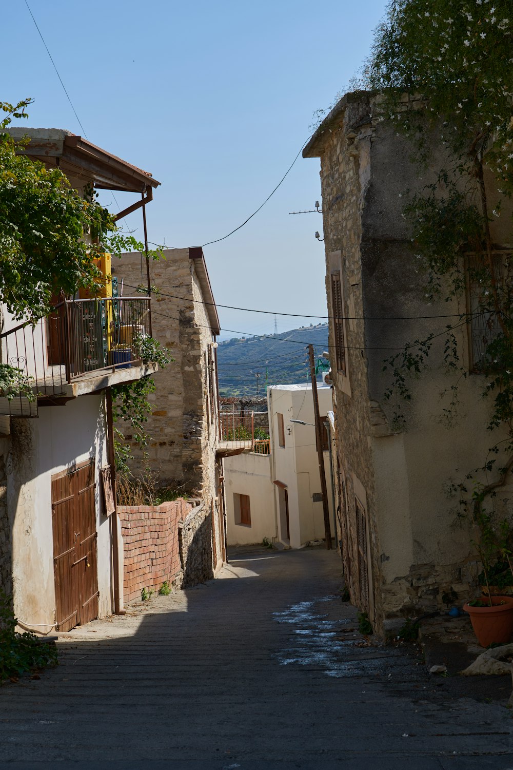 a street with buildings and trees