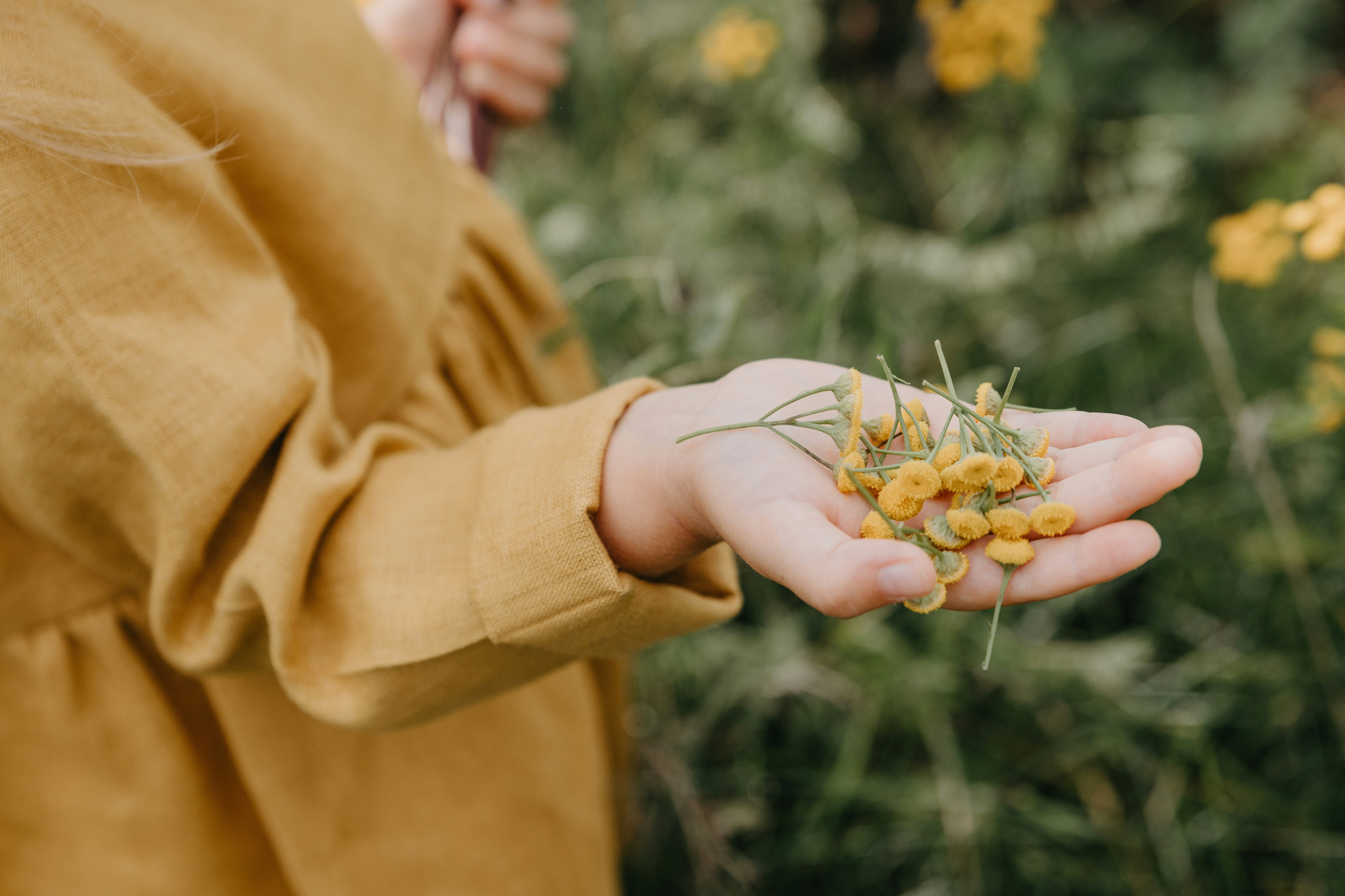 Photo by anitaaustvika