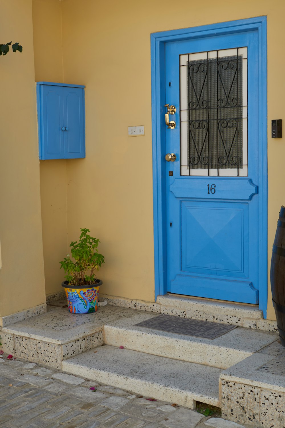 a blue door with a plant in front of it