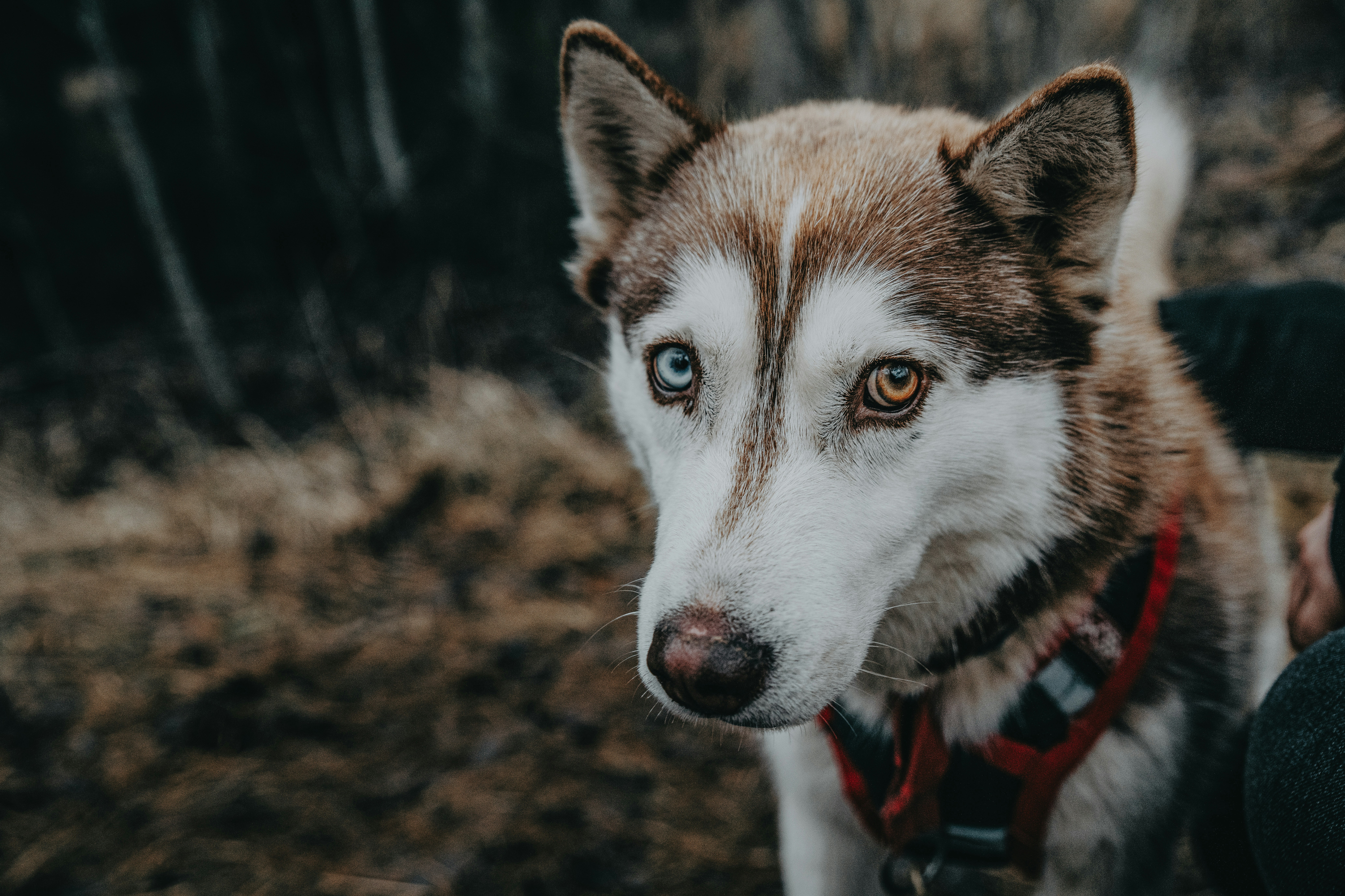 Photo by anitaaustvika