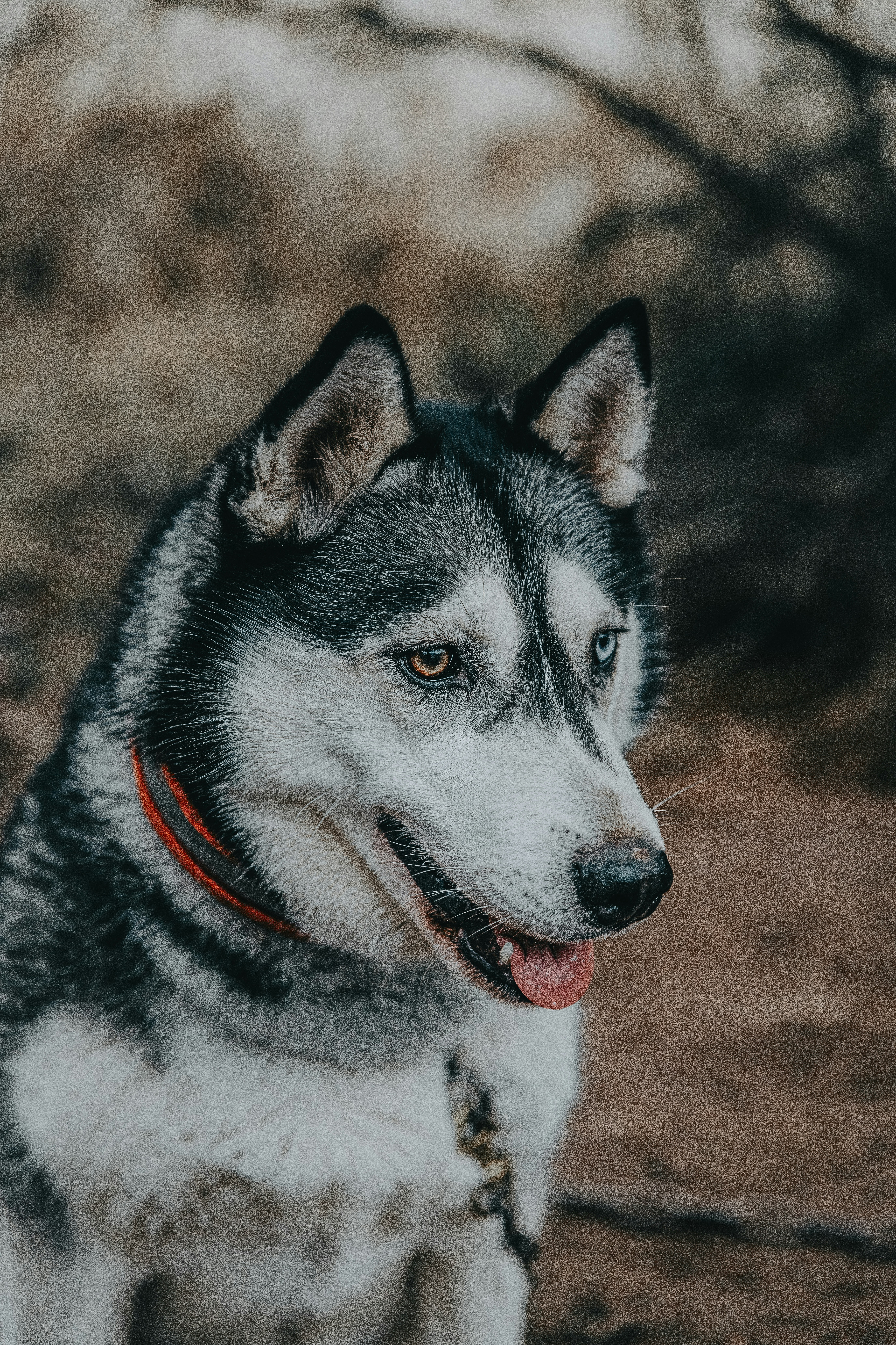 Photo by anitaaustvika