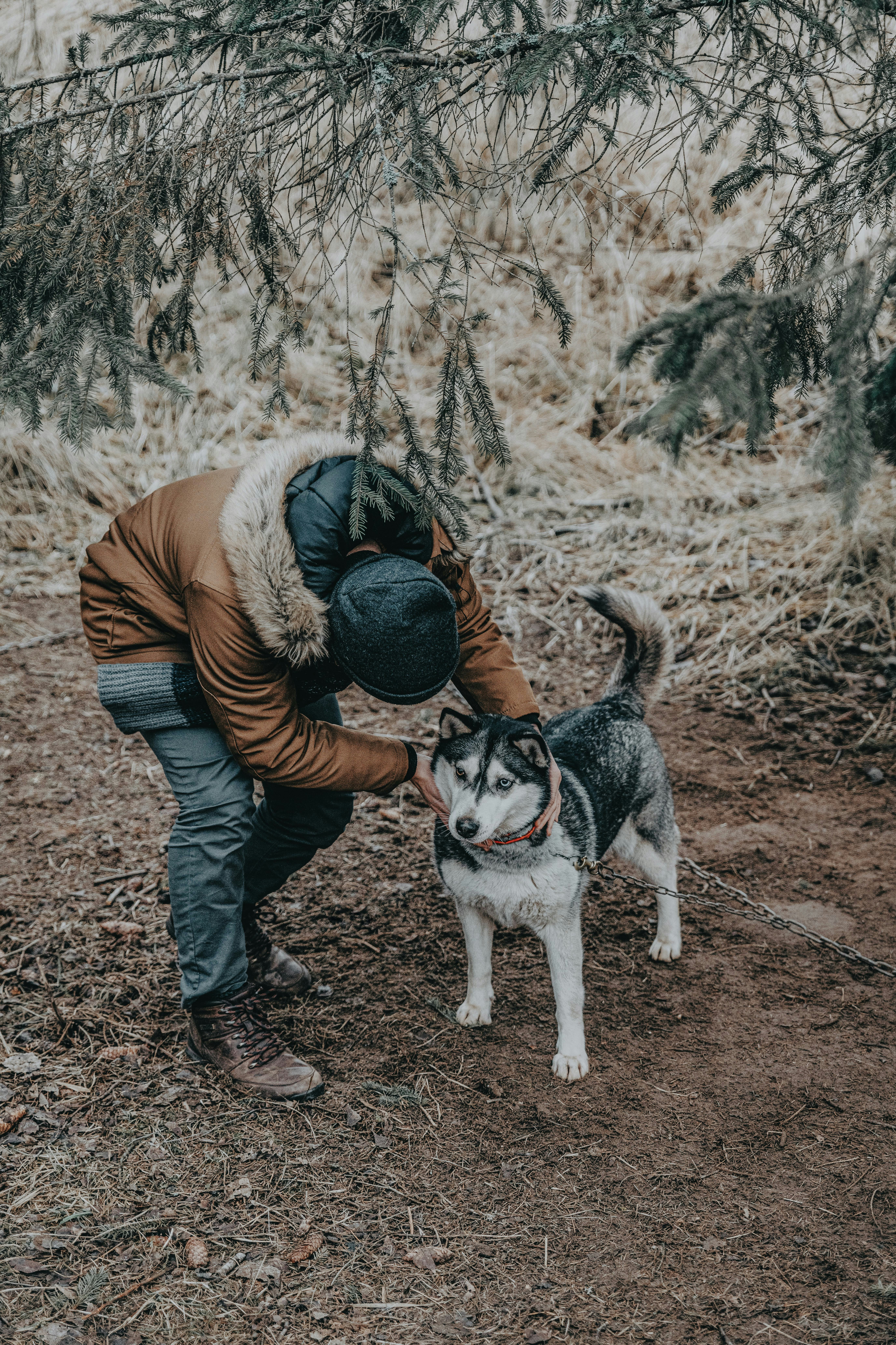 Photo by anitaaustvika