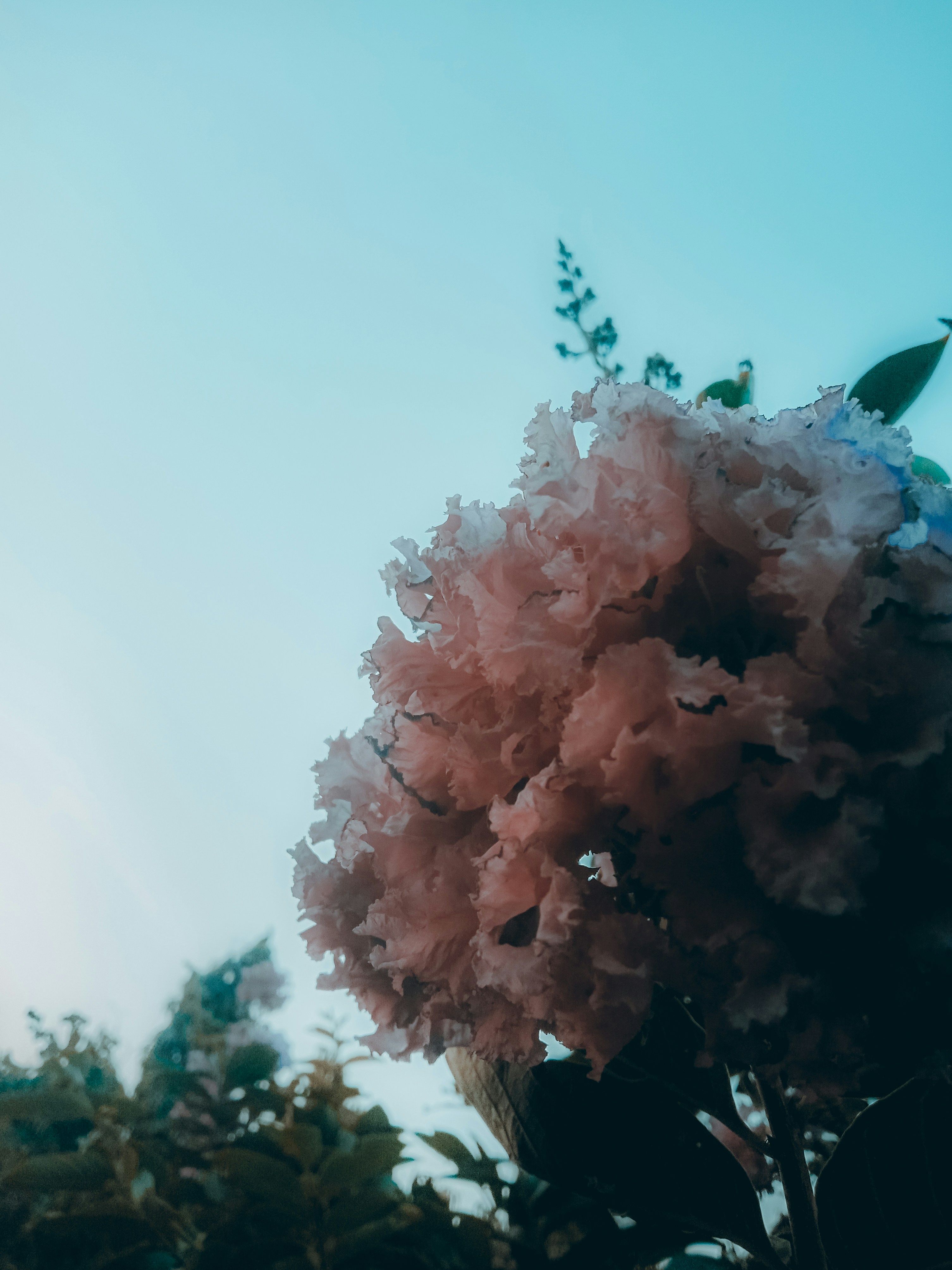 Photo by beingfarooq247365