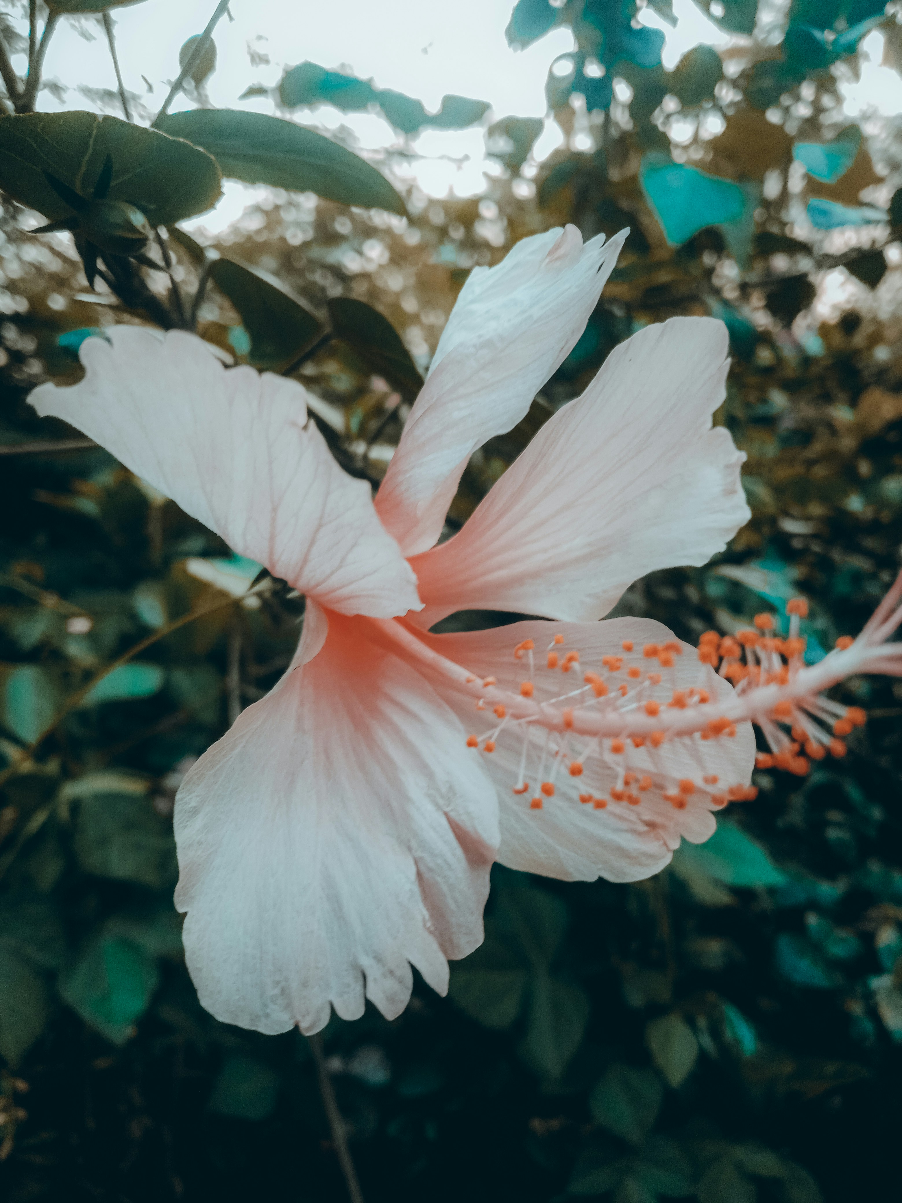 Photo by beingfarooq247365