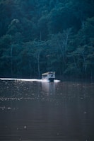 A boat travels across a calm, reflective body of water surrounded by dense, lush green forest. The atmosphere is tranquil, with sunlight creating a path of sparkles on the water's surface.