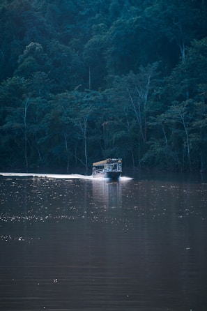 A boat travels across a calm, reflective body of water surrounded by dense, lush green forest. The atmosphere is tranquil, with sunlight creating a path of sparkles on the water's surface.