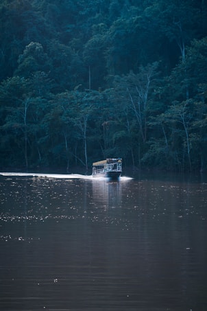 A boat travels across a calm, reflective body of water surrounded by dense, lush green forest. The atmosphere is tranquil, with sunlight creating a path of sparkles on the water's surface.