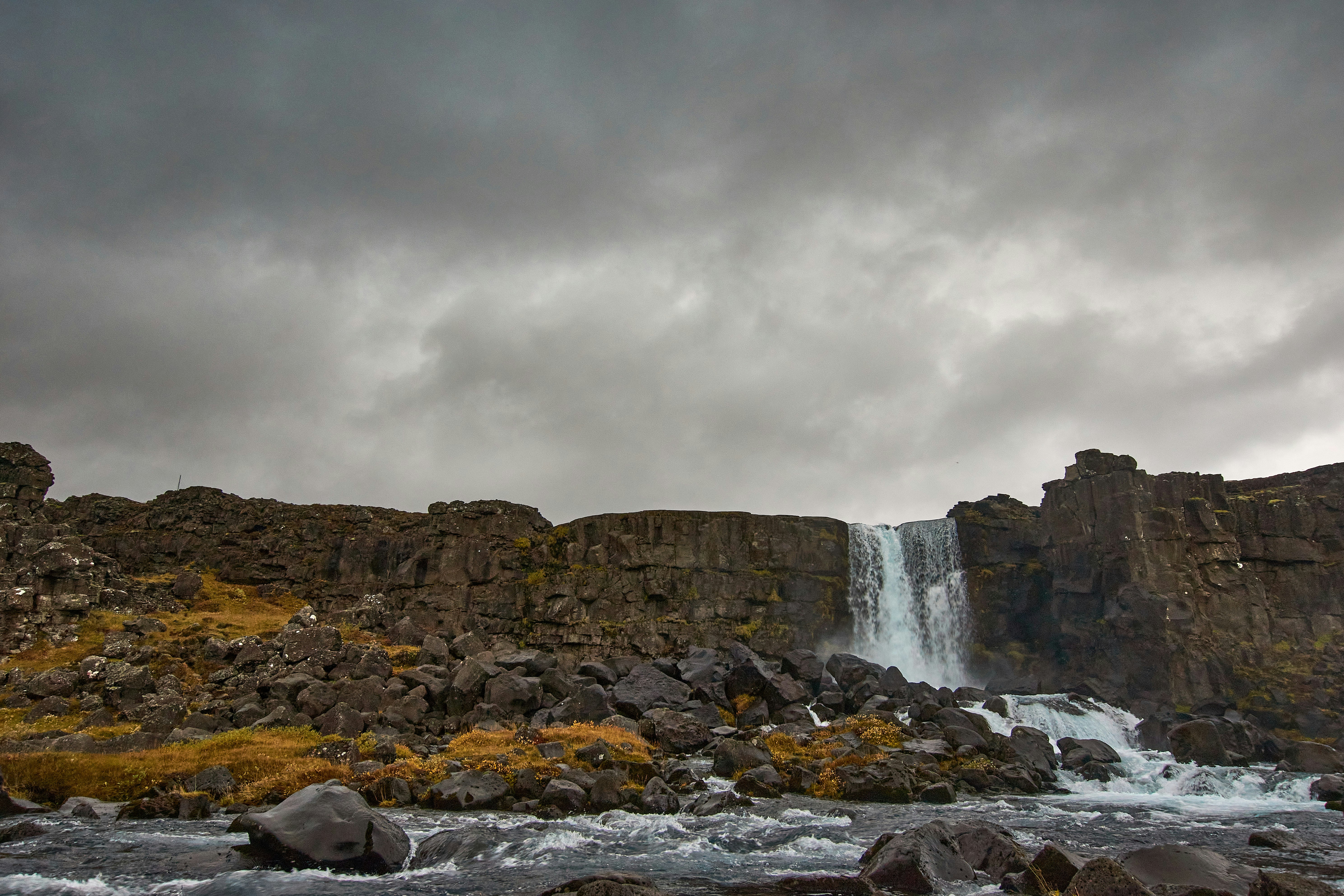 Photo by wolfgang_hasselmann