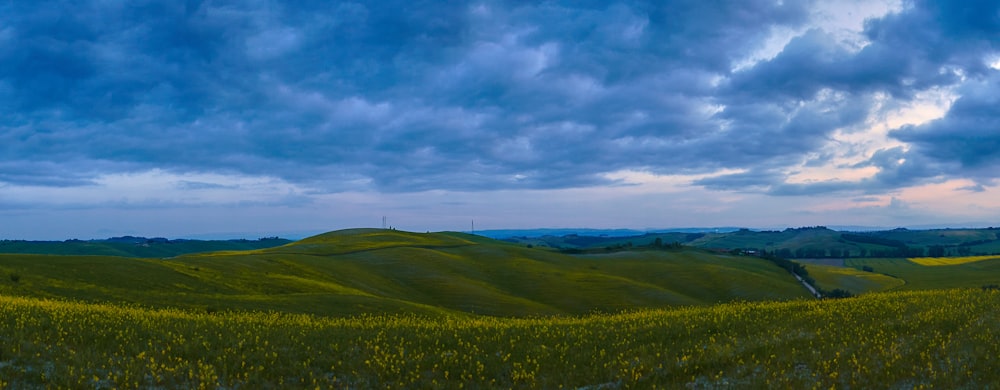 a green field with a road