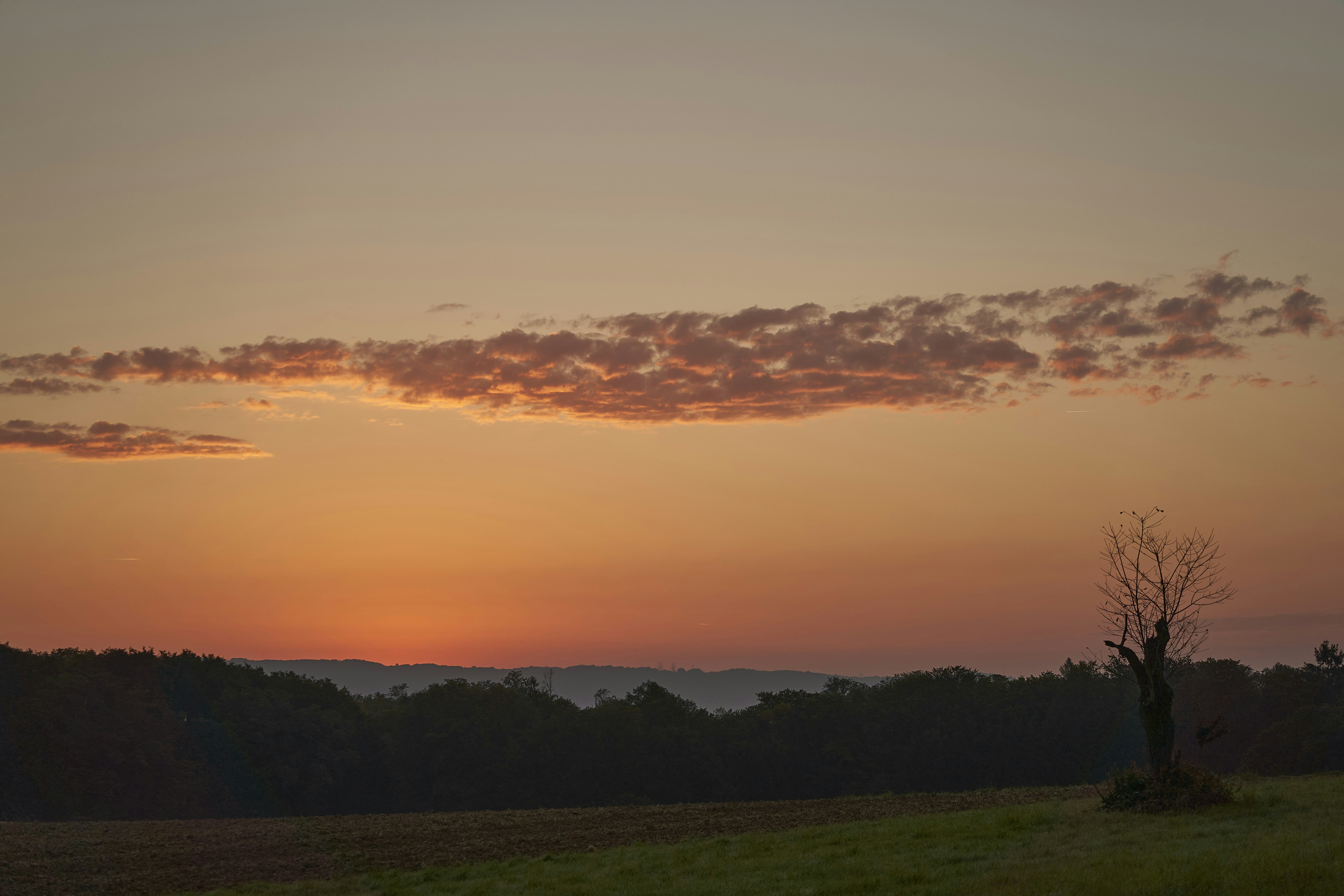 Photo by wolfgang_hasselmann