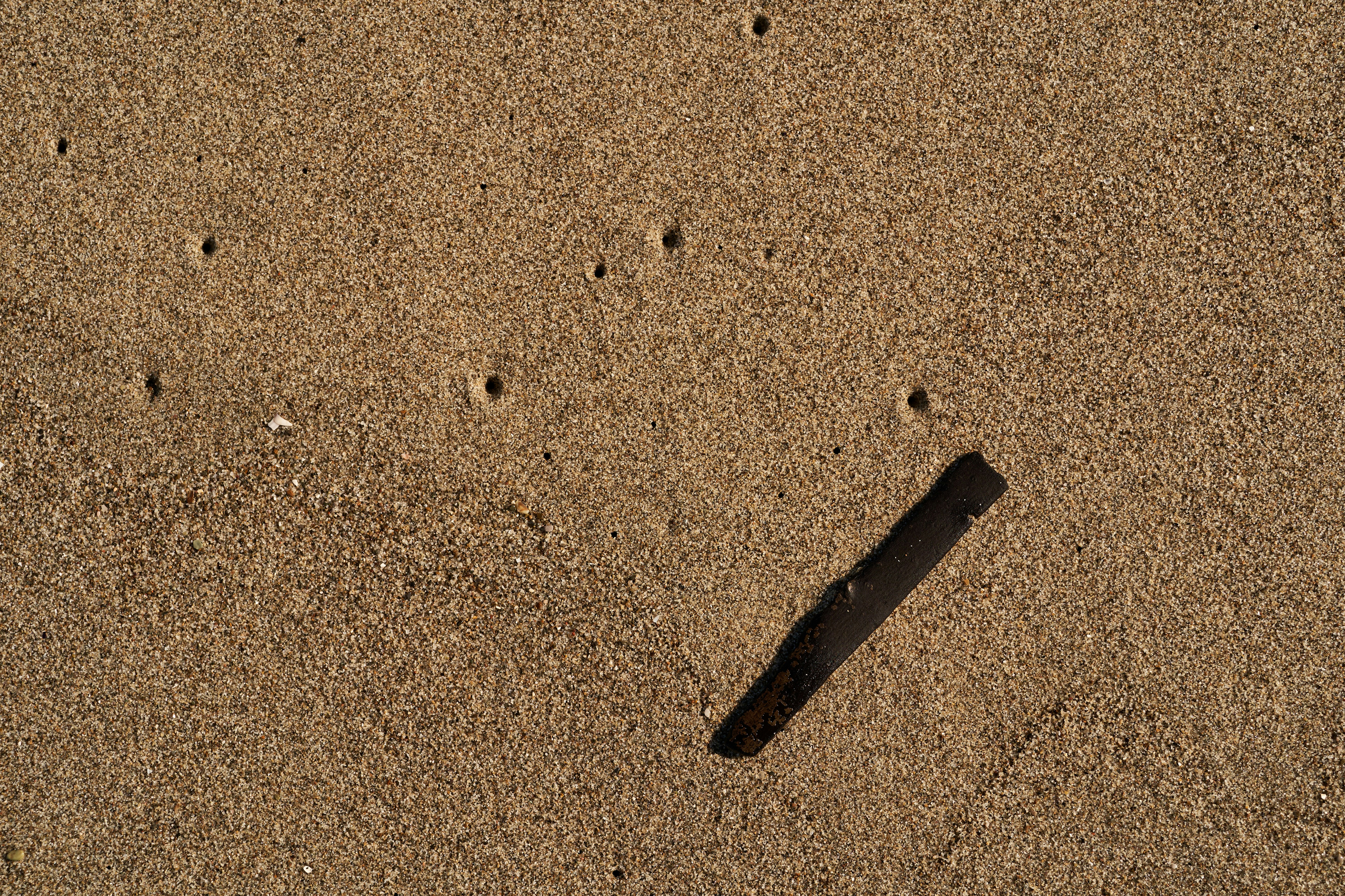 Photo by wolfgang_hasselmann