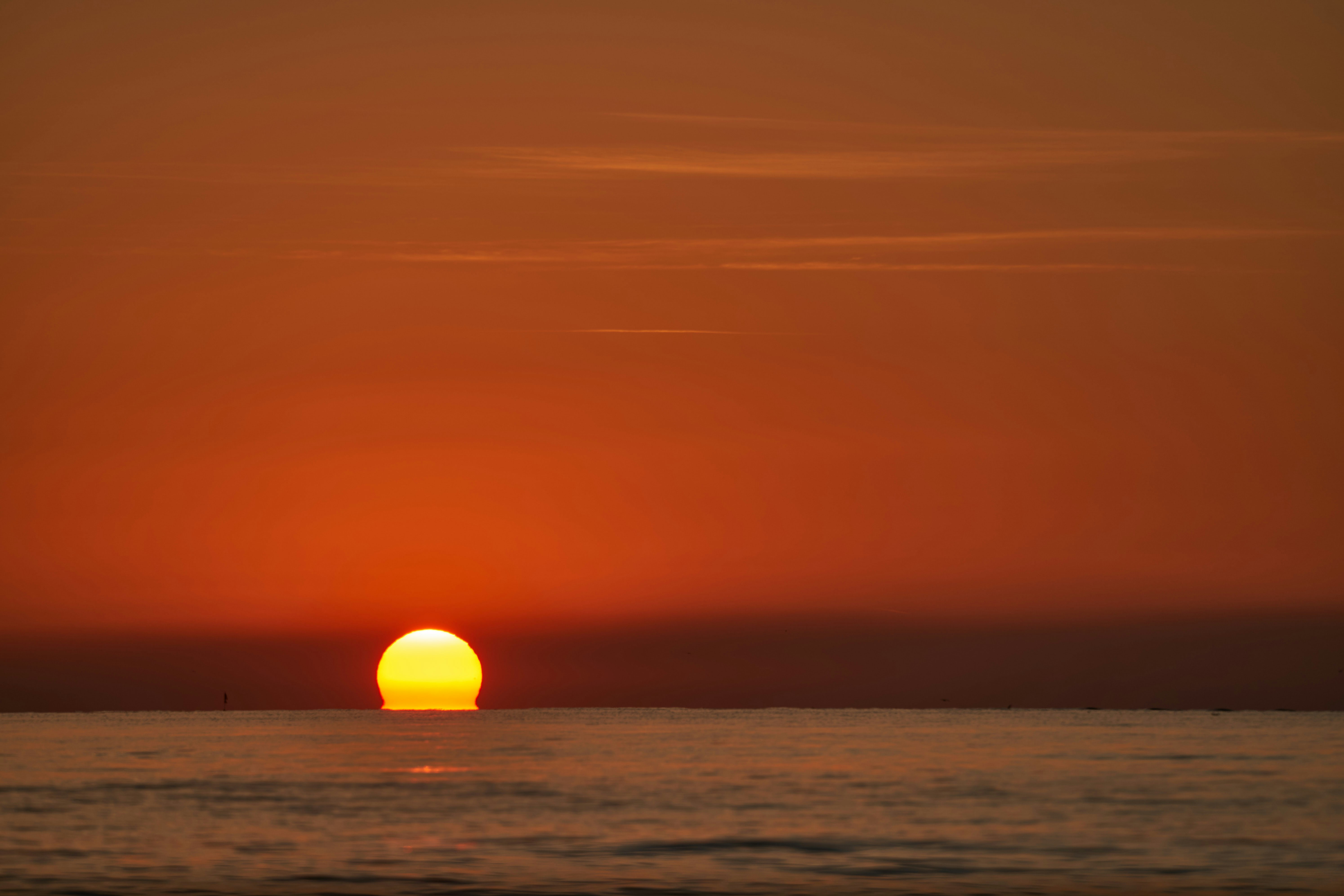 Photo by wolfgang_hasselmann