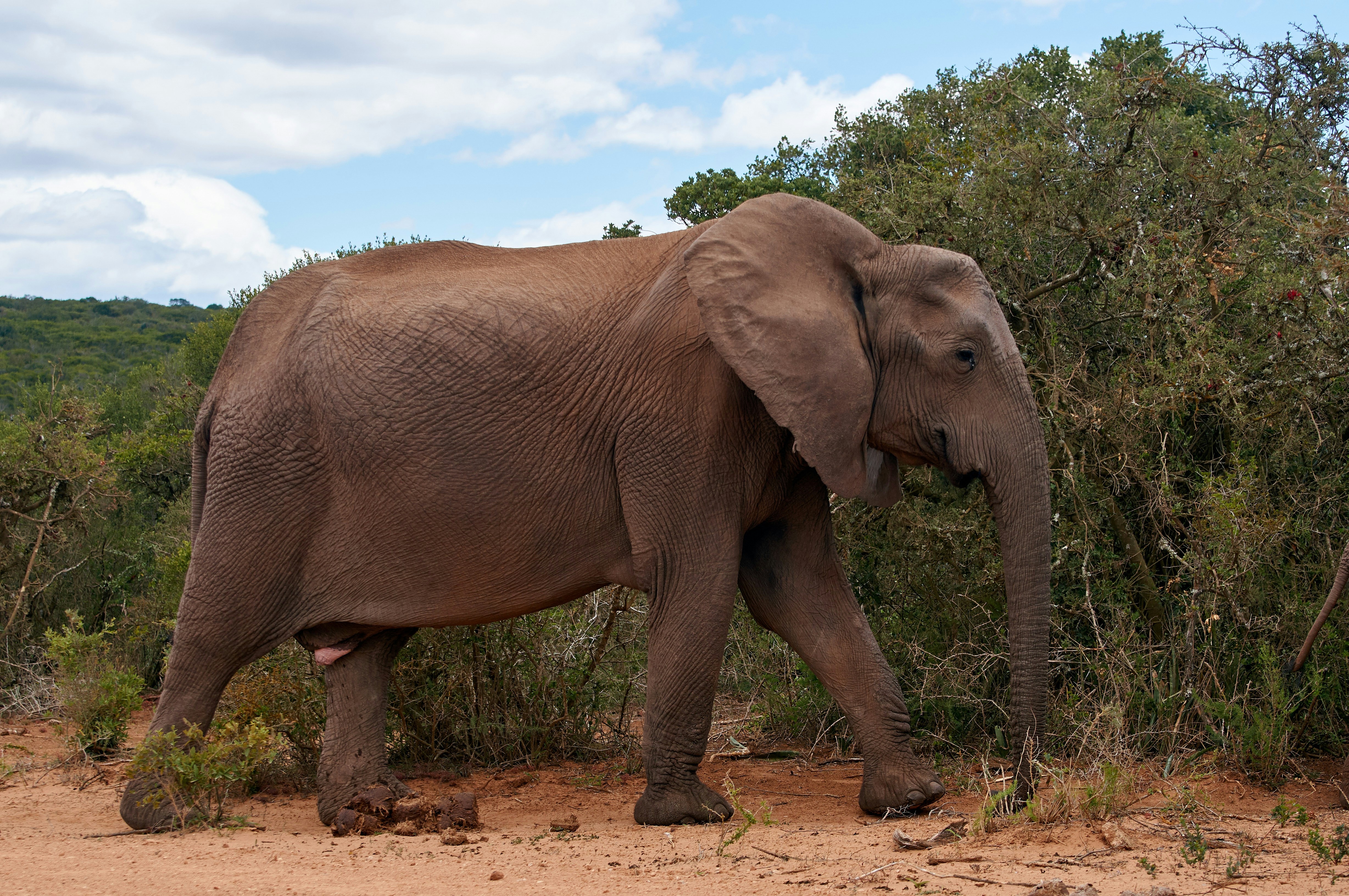 Photo by wolfgang_hasselmann