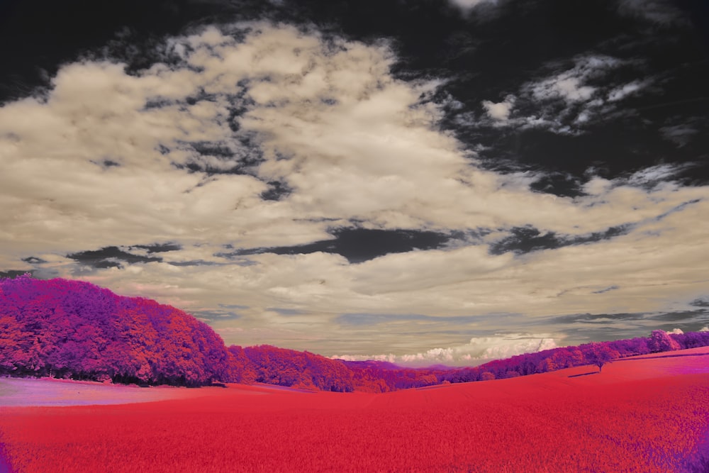 a landscape with trees and clouds