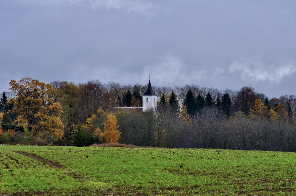 a building with a tower surrounded by trees