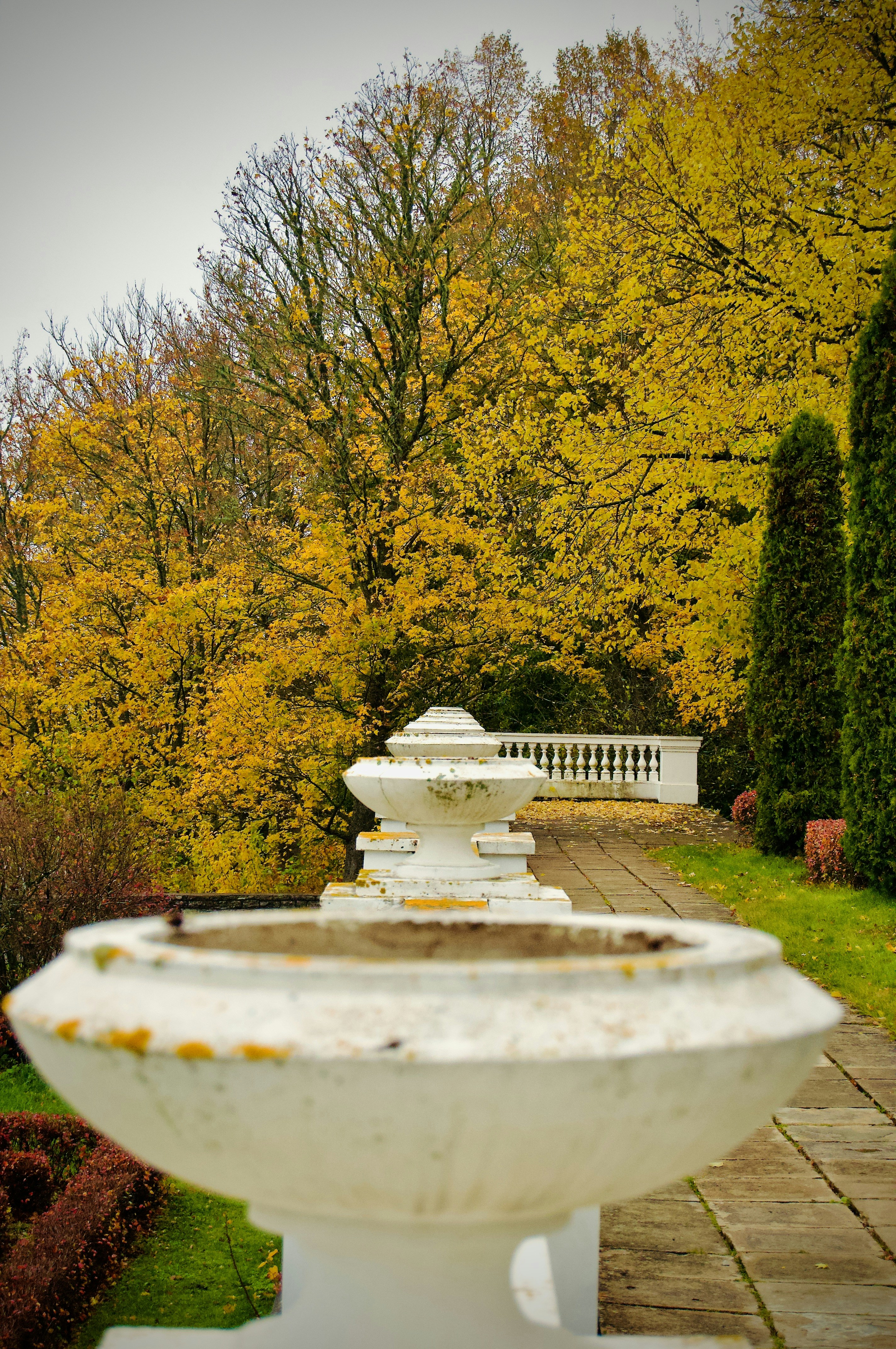 Hermelis Luminour Water Cream in a serene garden setting