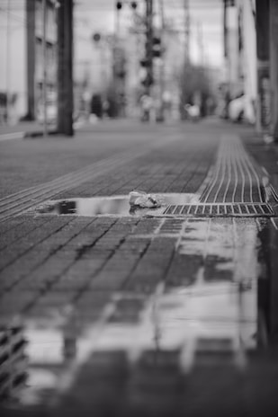 A black and white city street scene with rain reflections on the pavement.