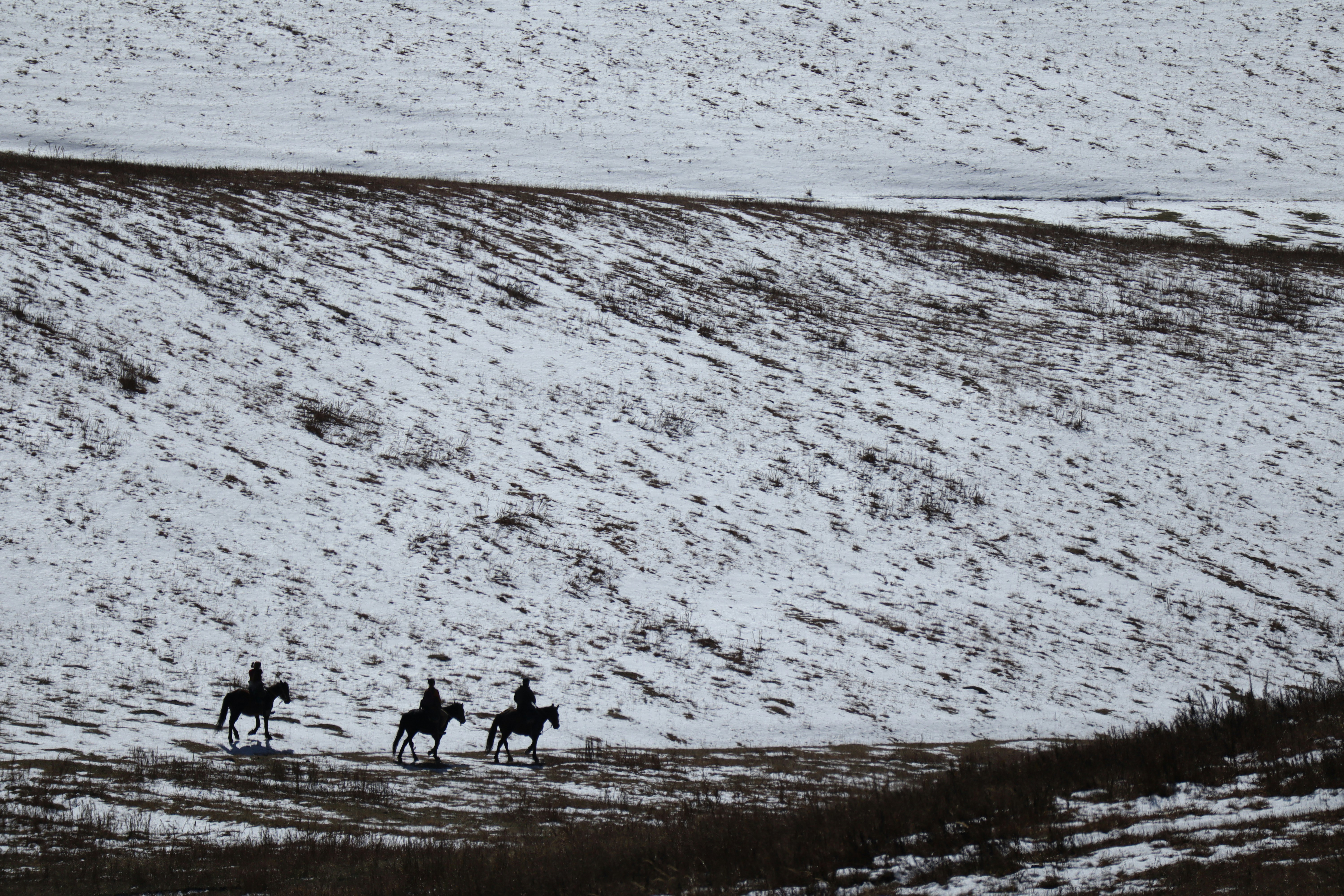 a group of people riding horses on a beach